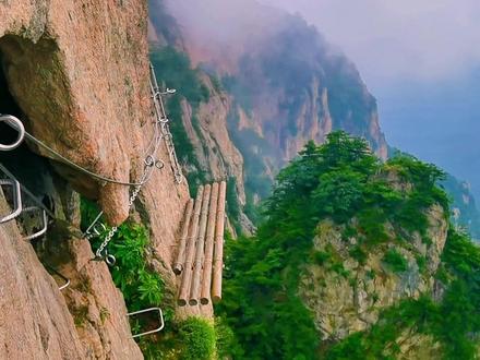 bae5bb580dc043d496aa73371a4344a5~tplv-dy-resize-origshort-autoq-75_330 (1).jpeg