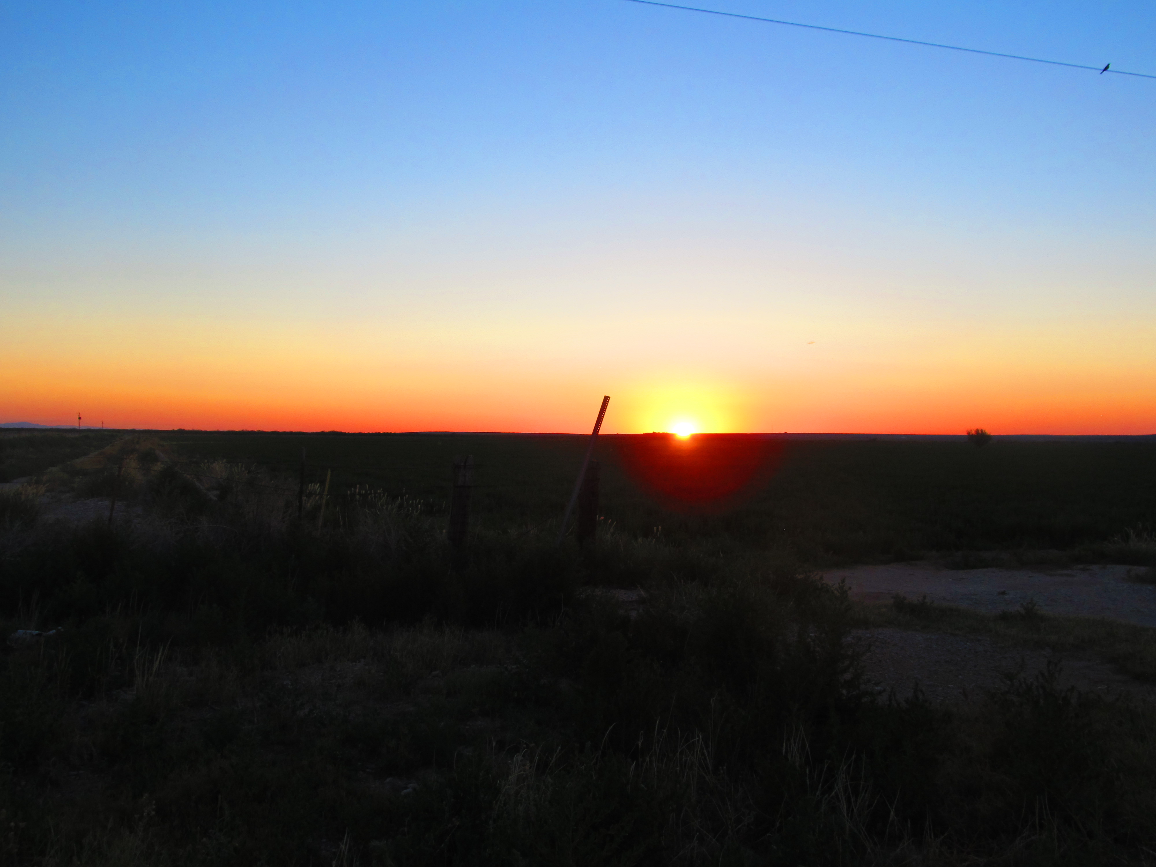 IMG_0732.JPG