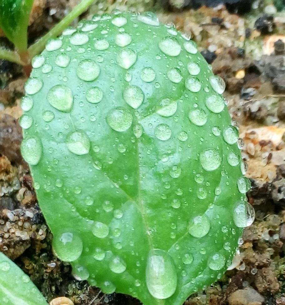 photo.jpg
