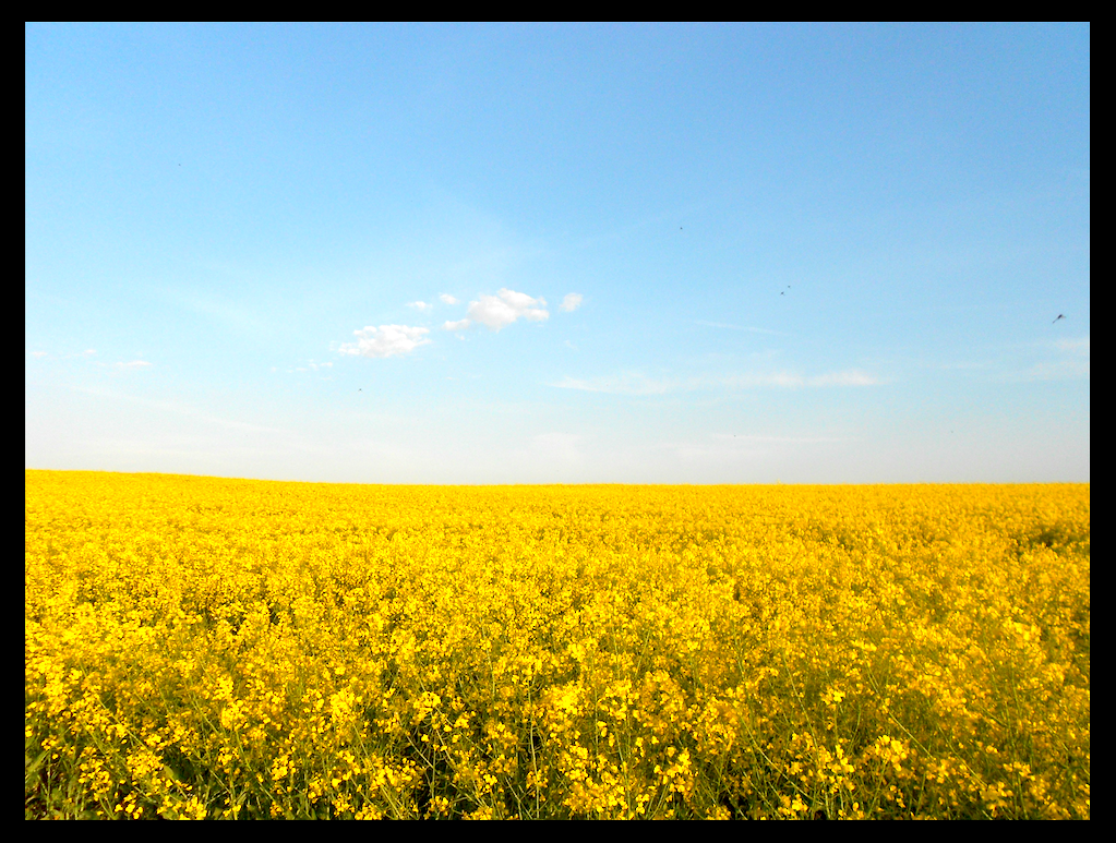 Bildschirmfoto 2018-05-24 um 09.06.53.png