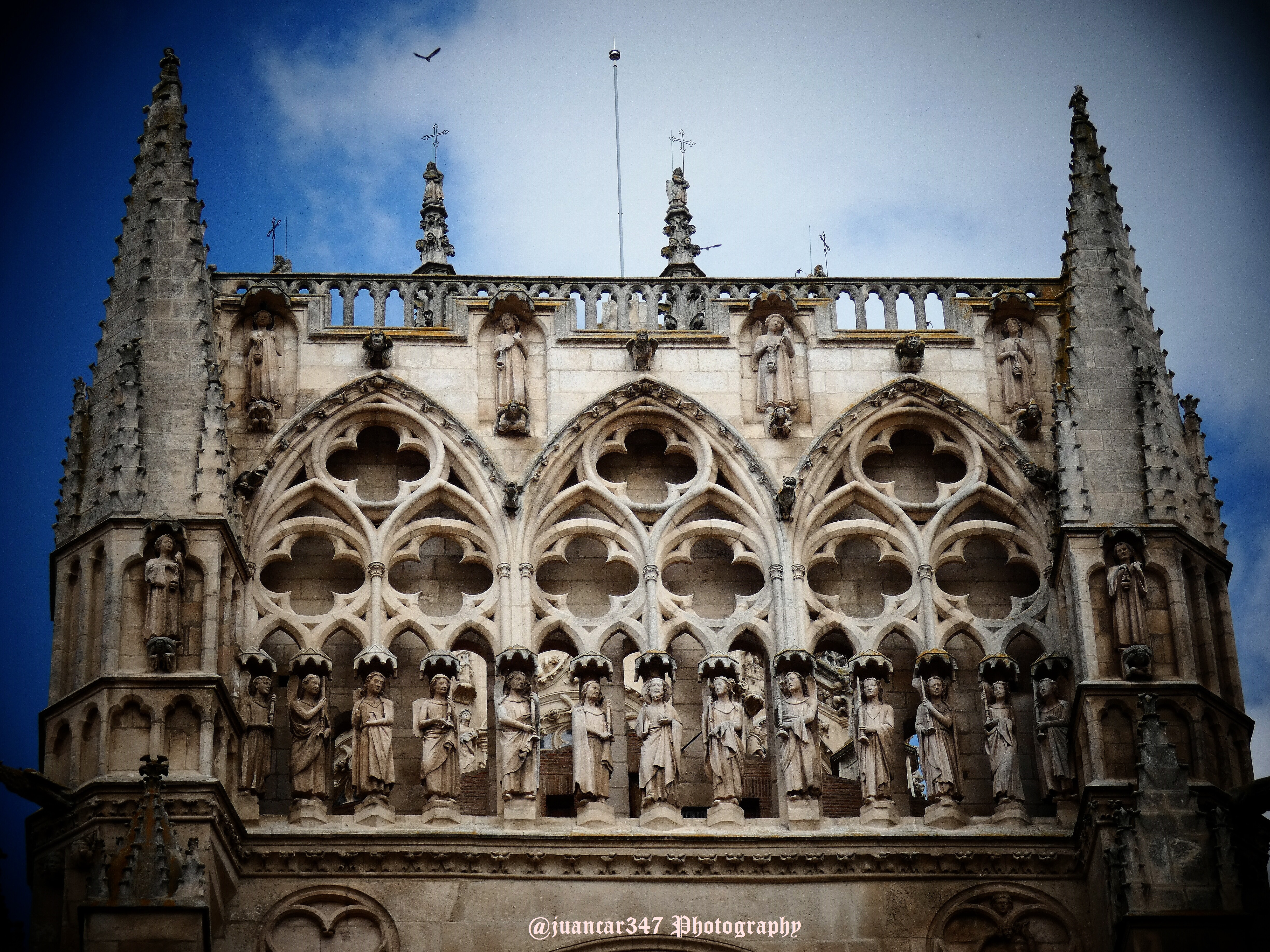 P1180245-1.jpg