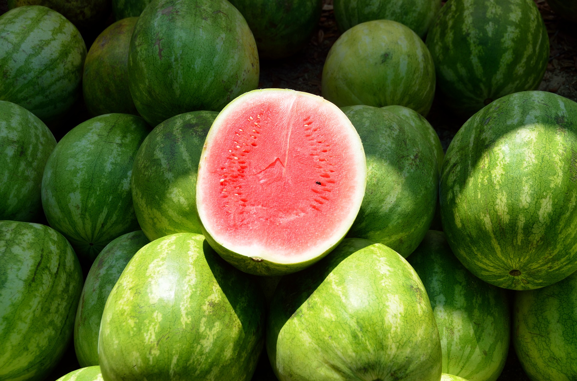 water-melon-1652093_1920.jpg