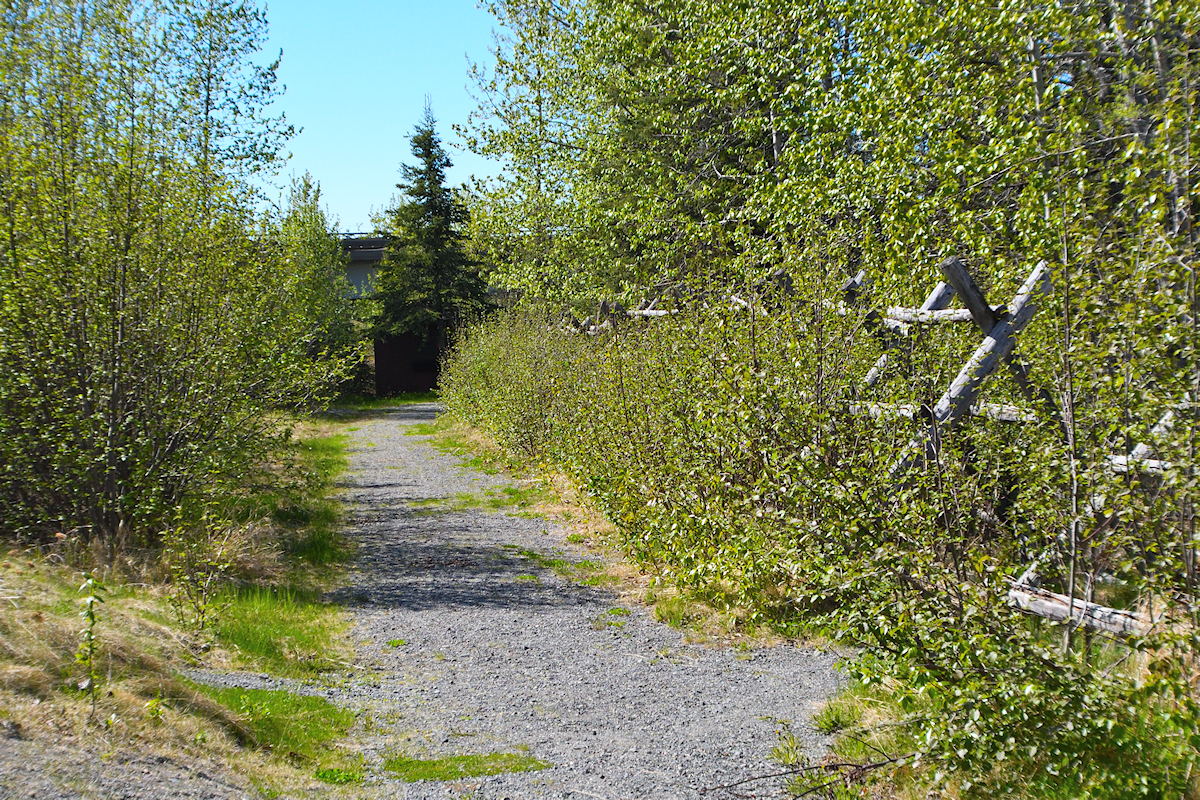 DSC_6796 path to the river by the bridge.jpg