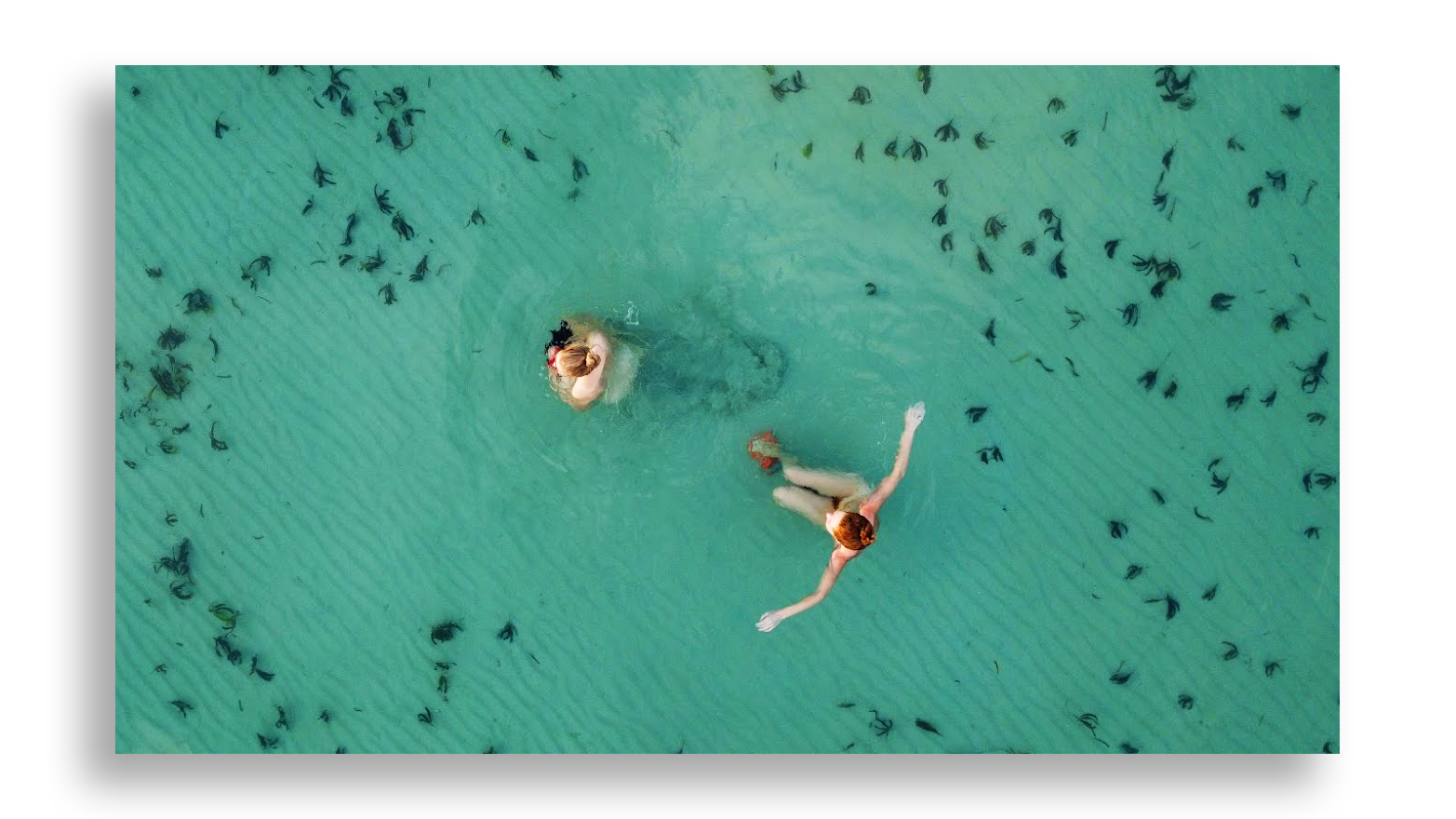 dji_export_1636463924506с.jpg