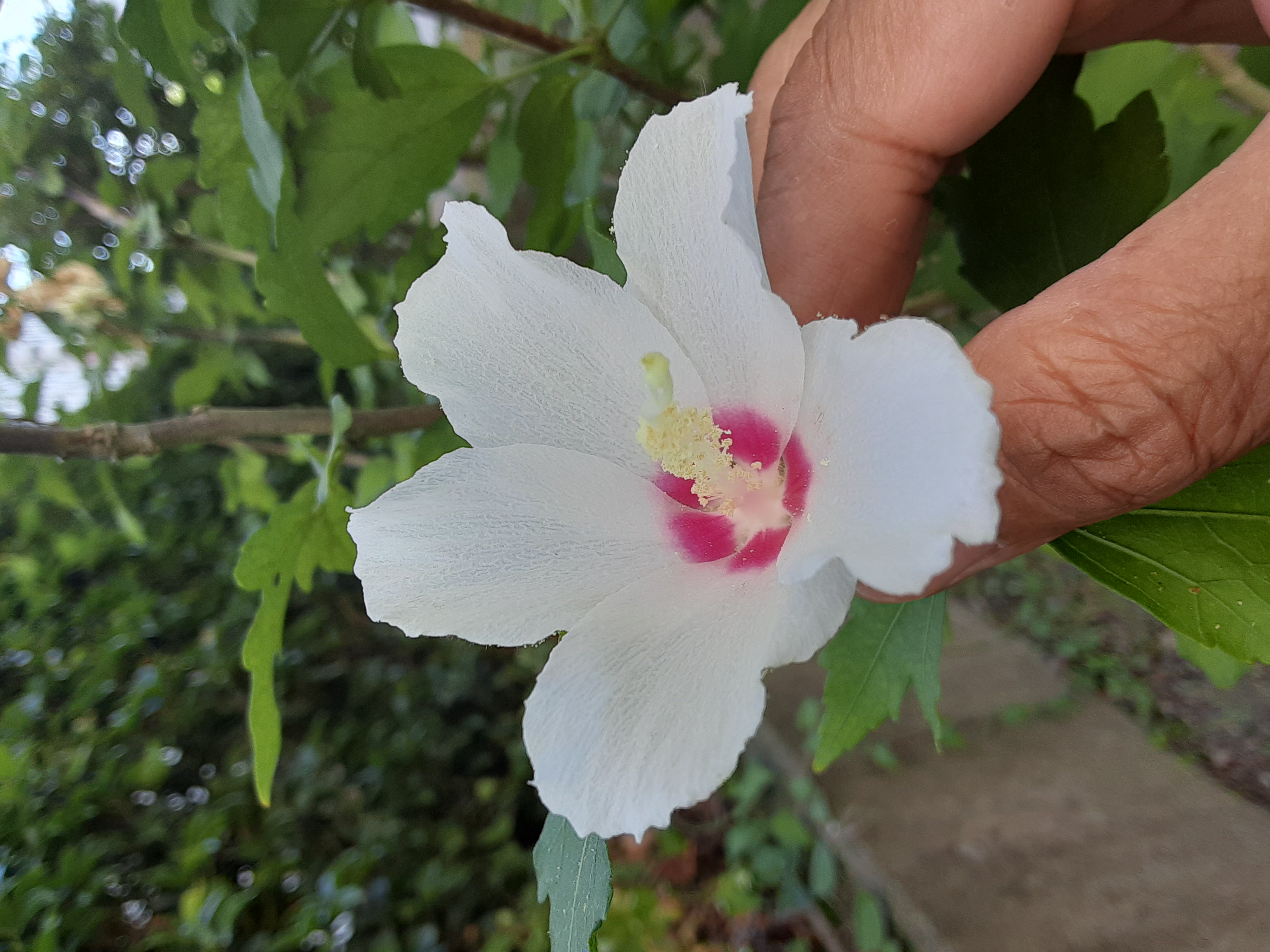 20230723_152157.jpg