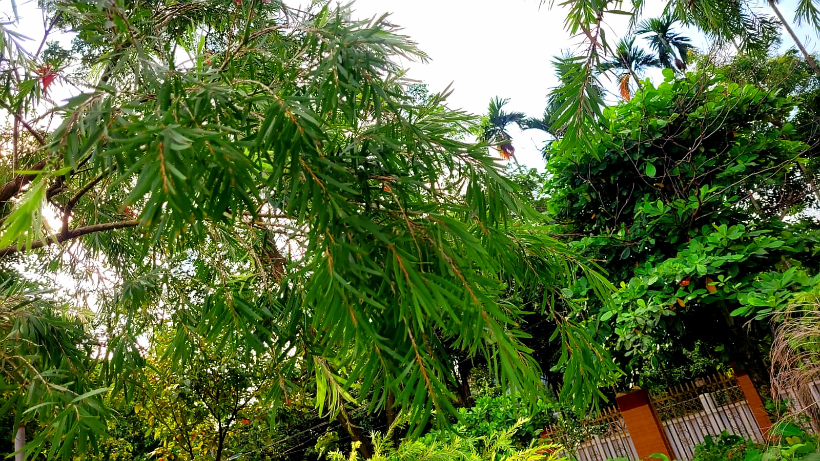 20251010_094715033.jpg