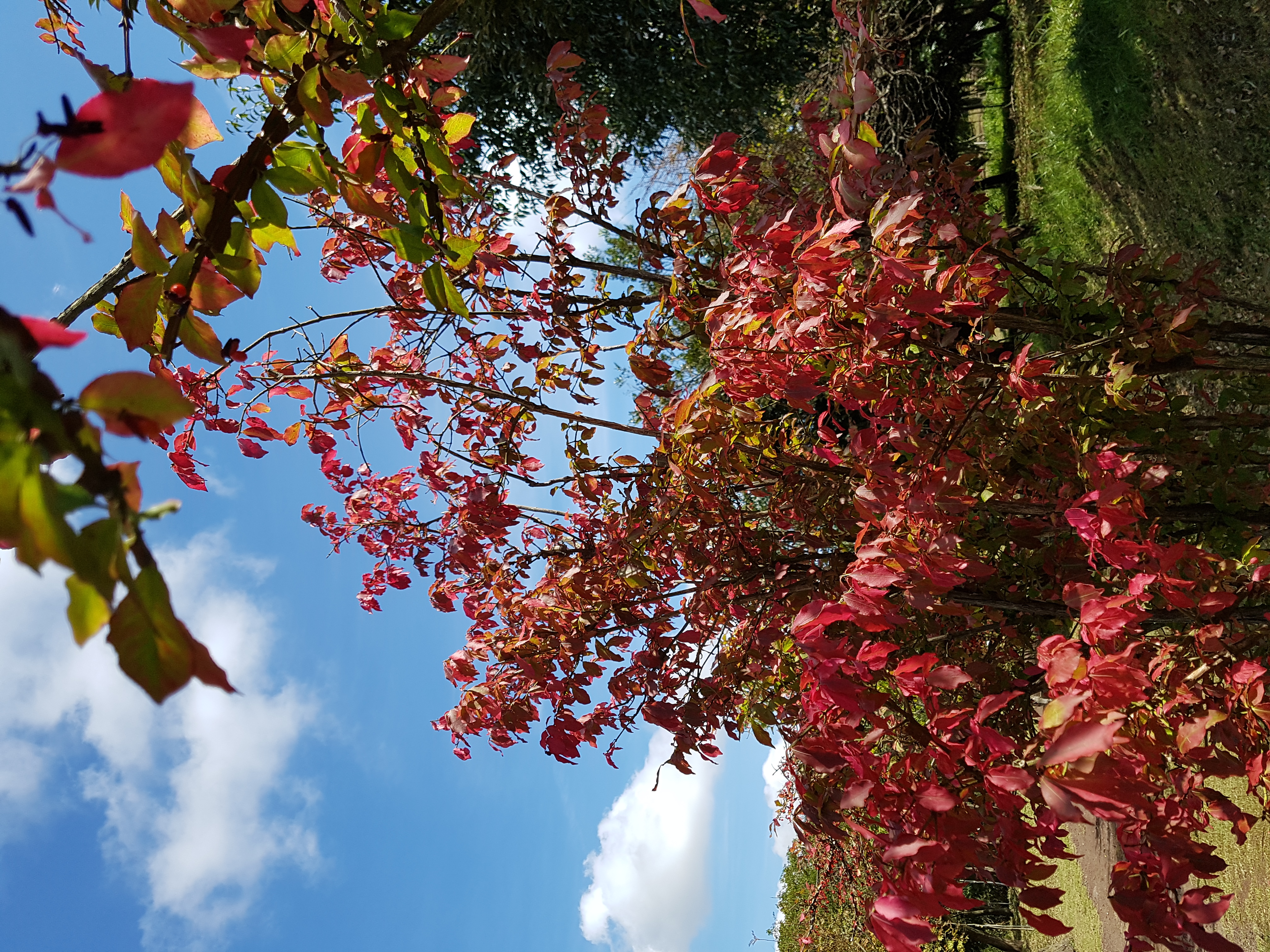 20181012_114205.jpg