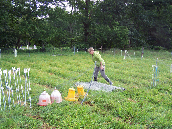 Cindy Gill1 pasture pen crop Aug. 2018.jpg