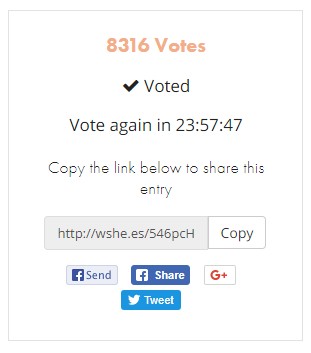 vote.jpg