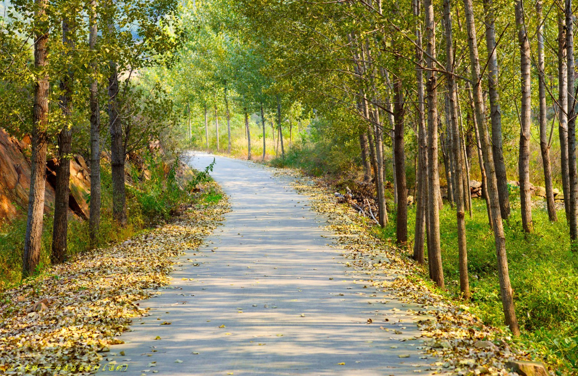 看得见青山，记得住乡愁 Green Hills and Blue Waters Triguing My Deep Homesickness