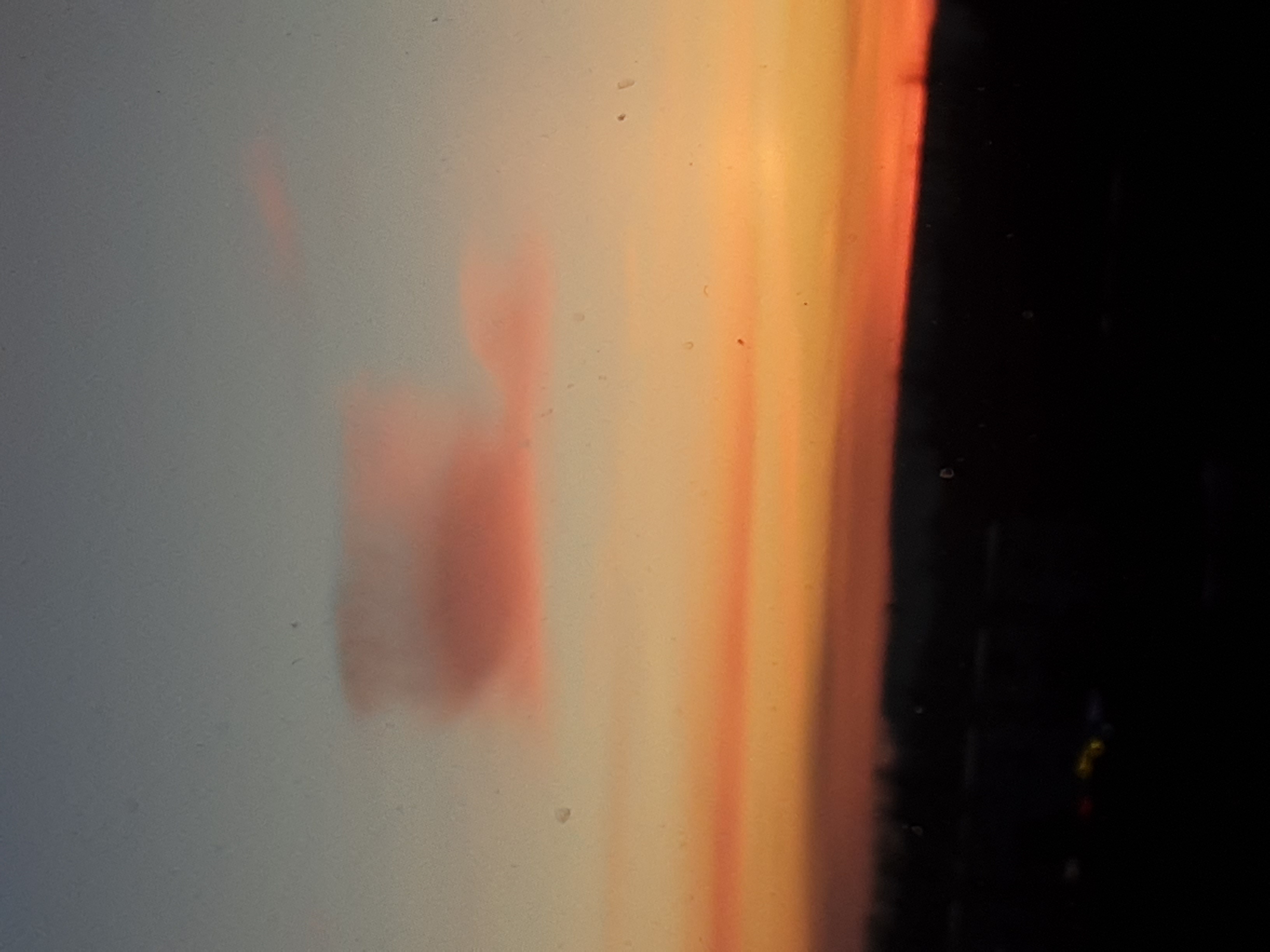 20200113_071845.jpg