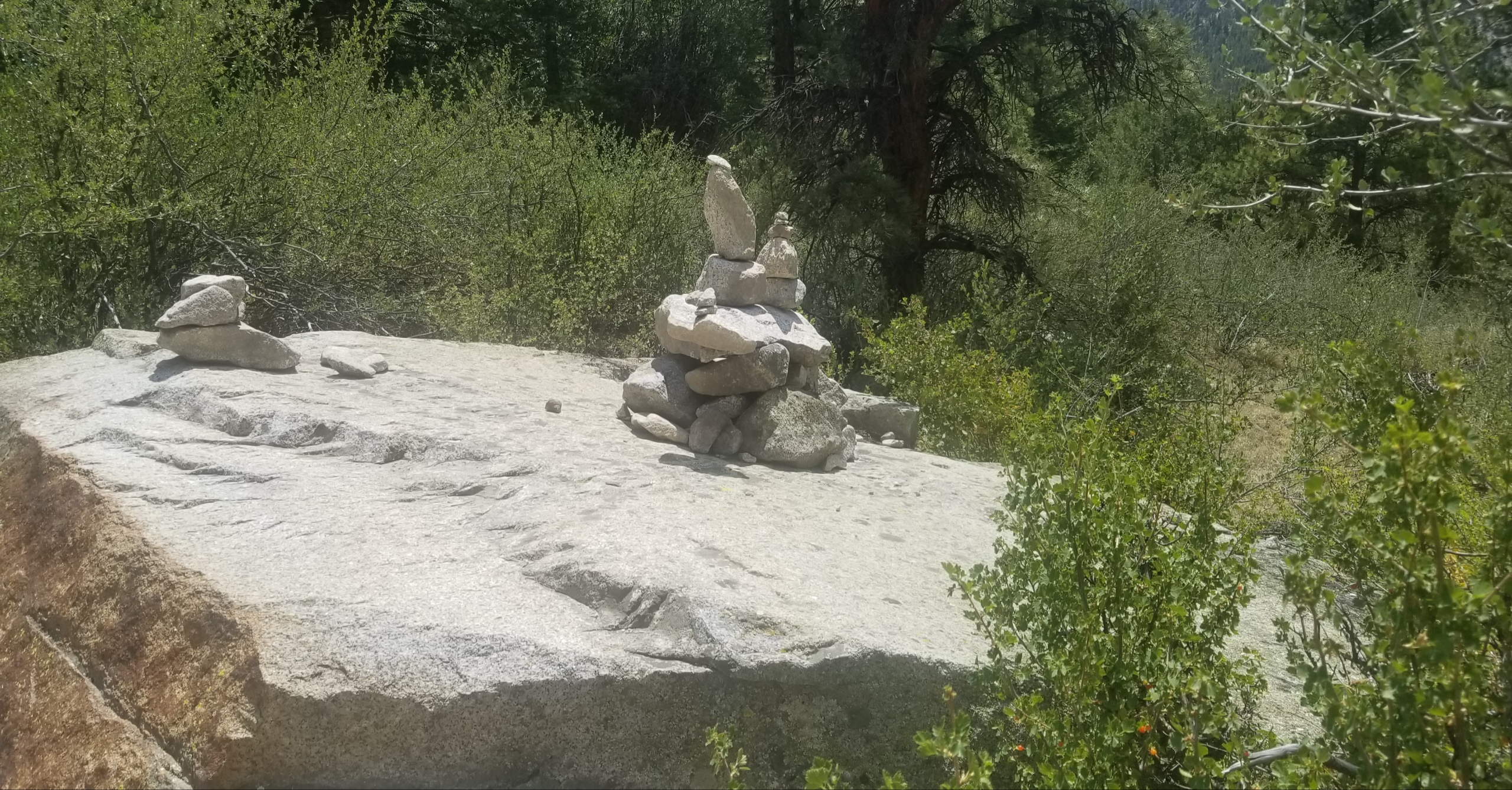 20180710_152741.jpg