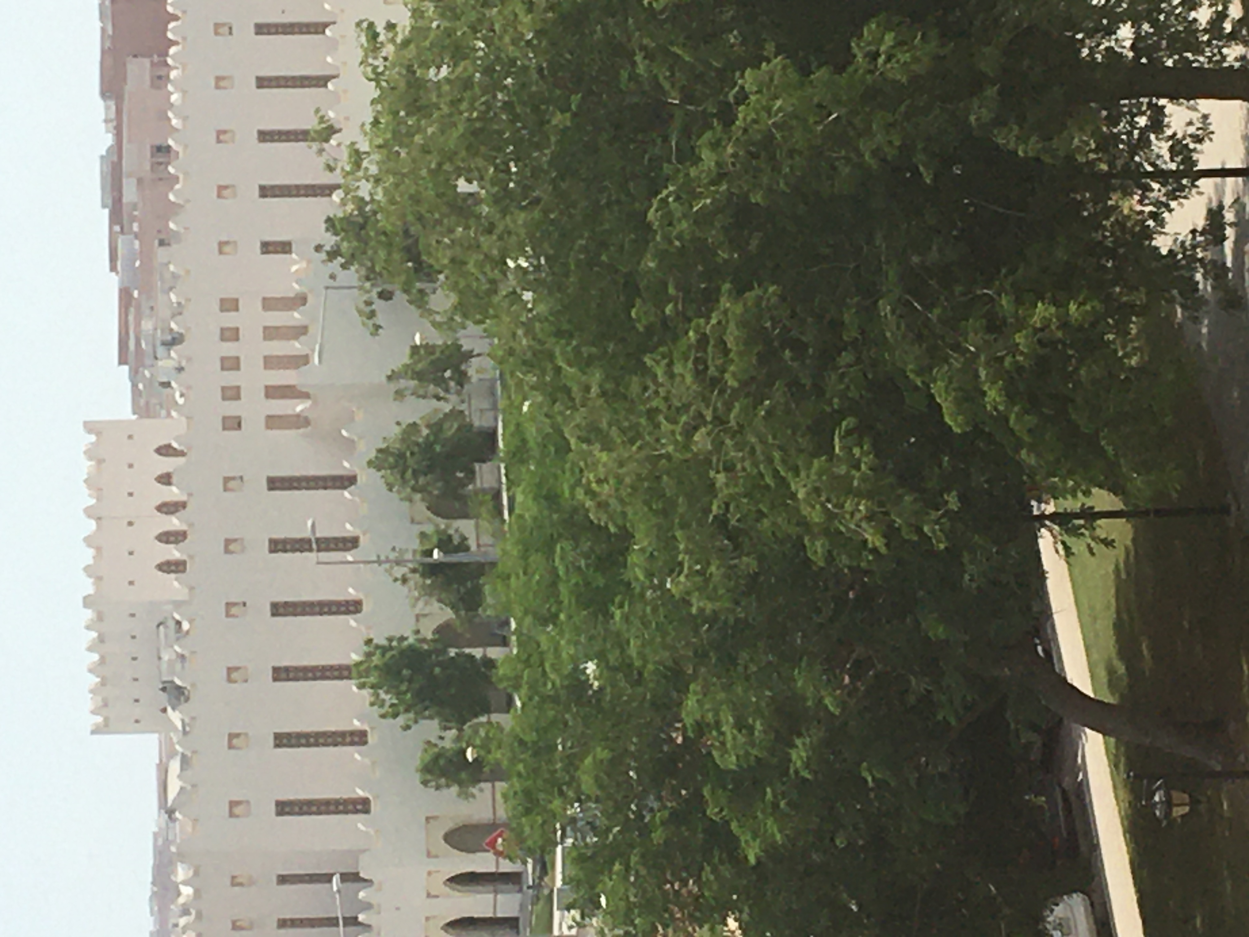 33AC2191-0E6F-4907-9838-2D43DD1E7250.jpeg