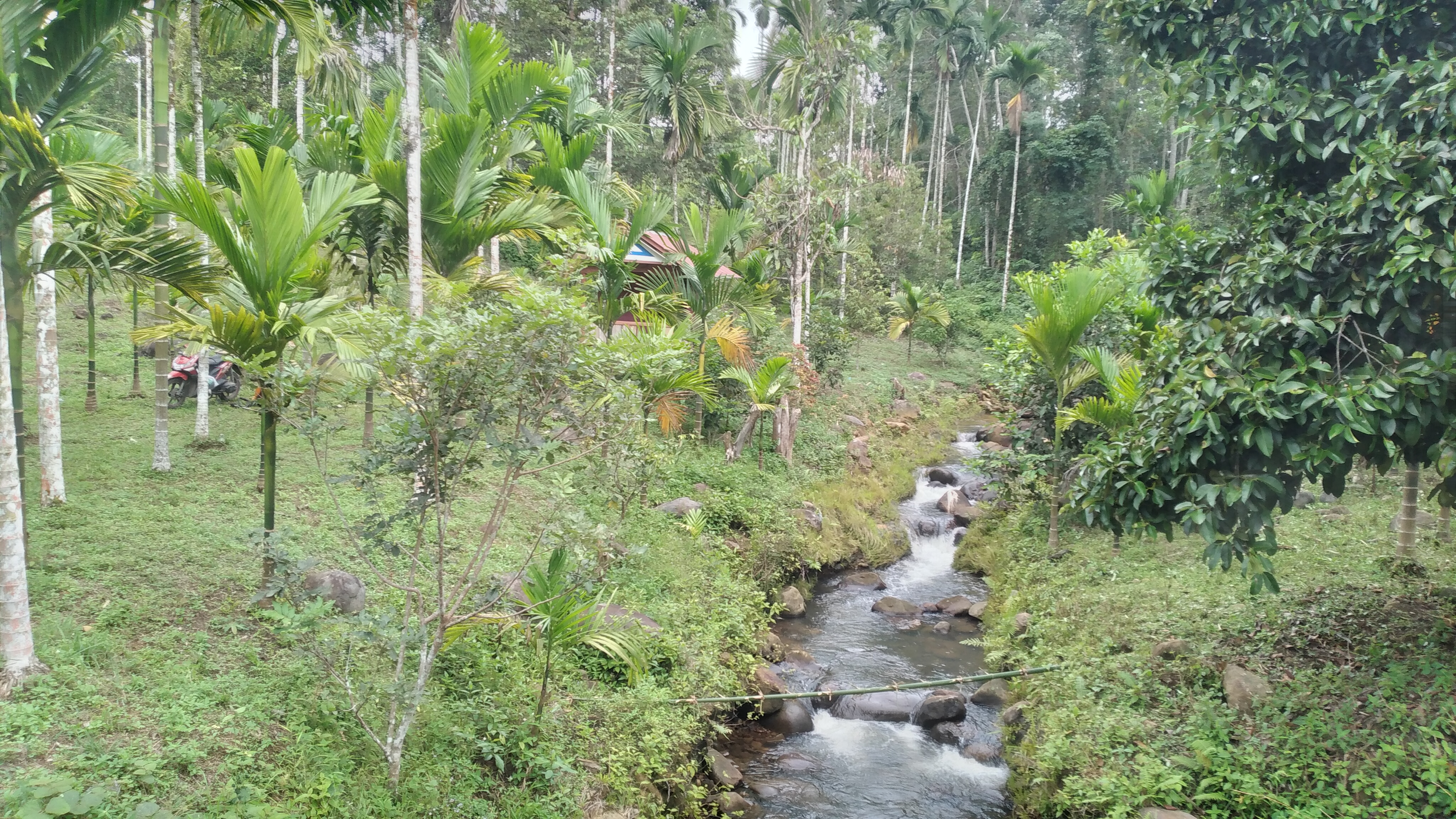 20221009_163743.jpg