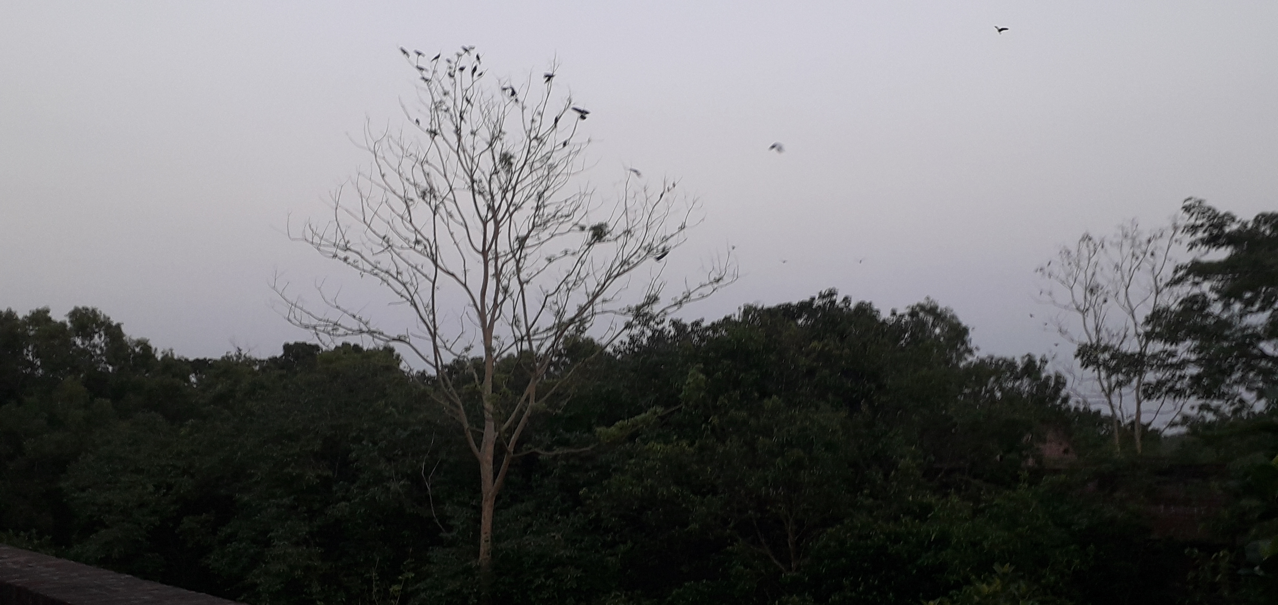20190604_185205.jpg