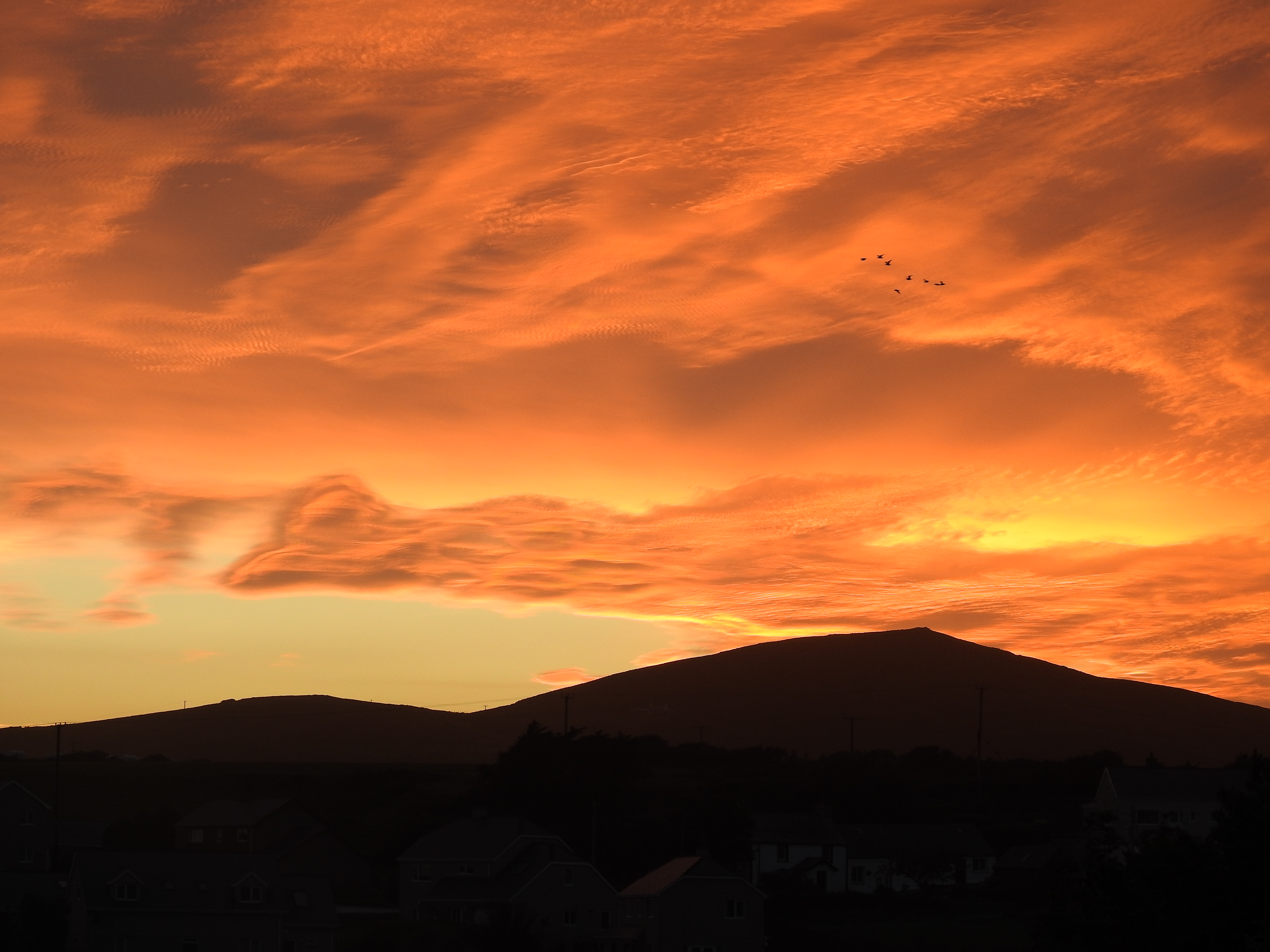 DSCN1696.JPG