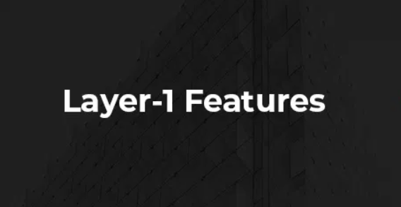 Algorand Layer1 features