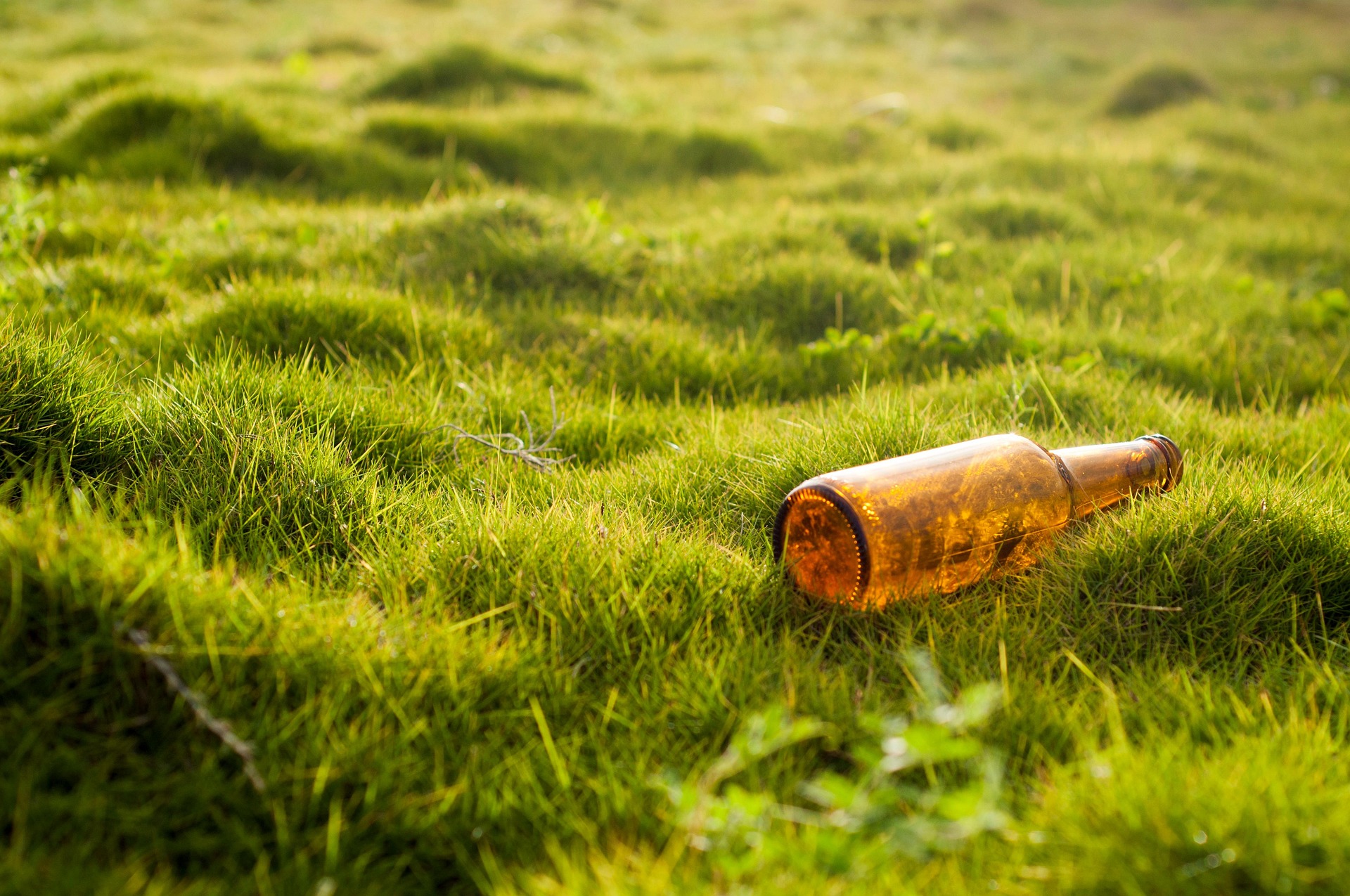 letone-bottle-7117637_1920.jpg