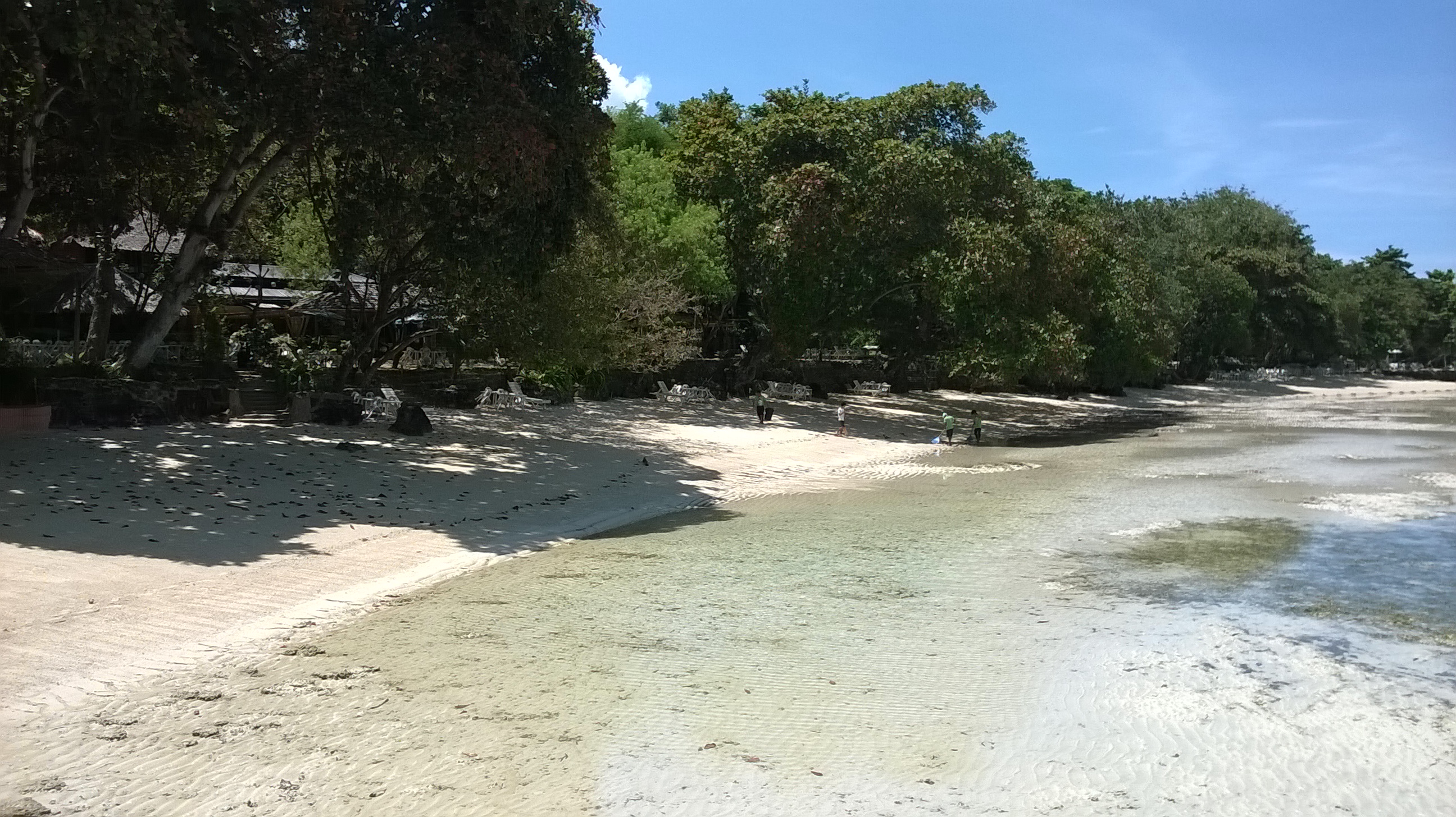 WP_20170904_11_19_29_Pro.jpg