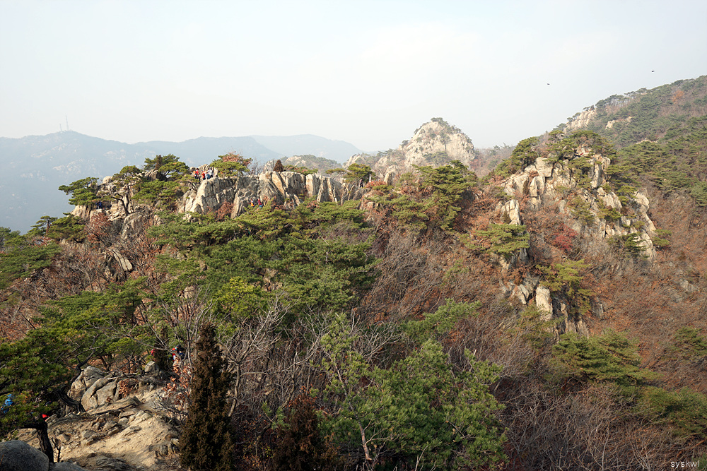 w-DSC09175.jpg