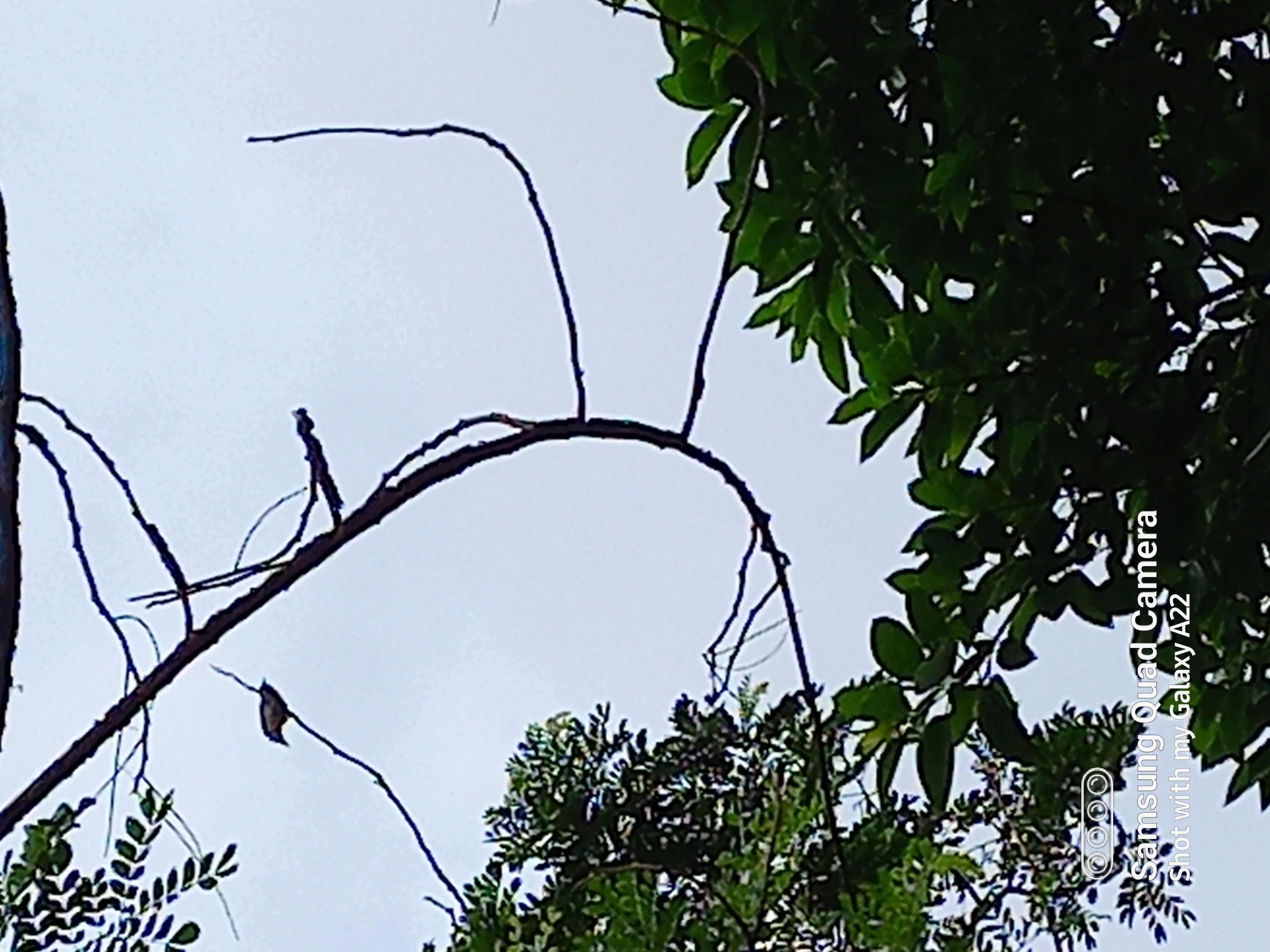 20220513_075336.jpg