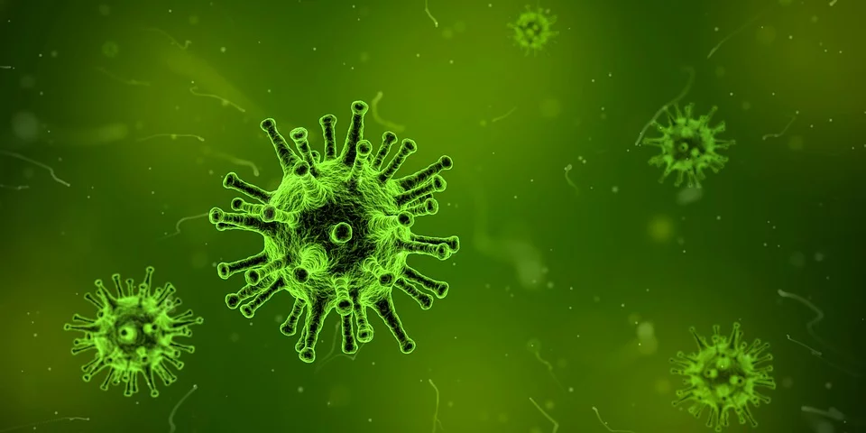 virus-1812092_960_720.webp