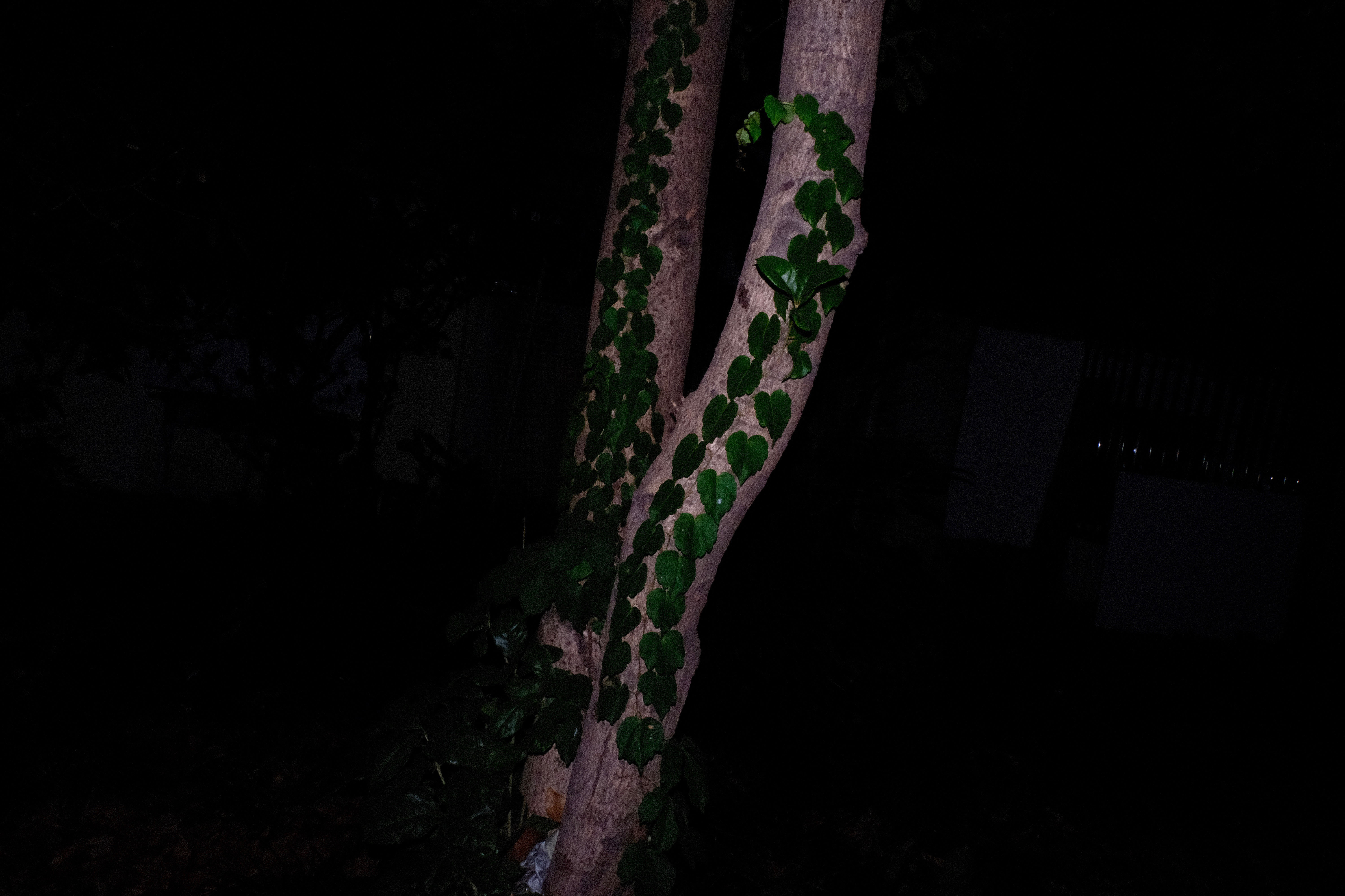 DSCF7872.jpg
