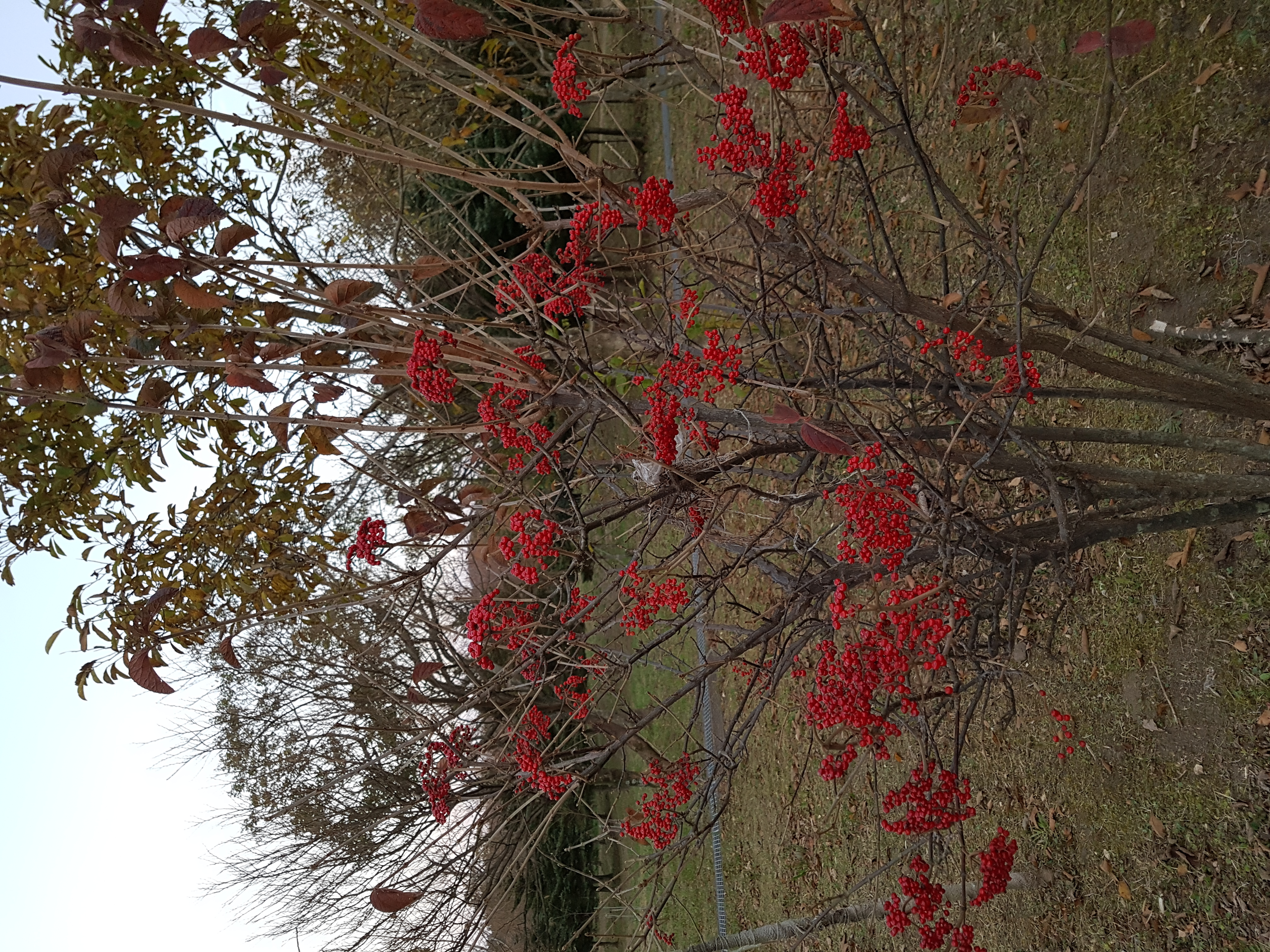 20181102_174108.jpg