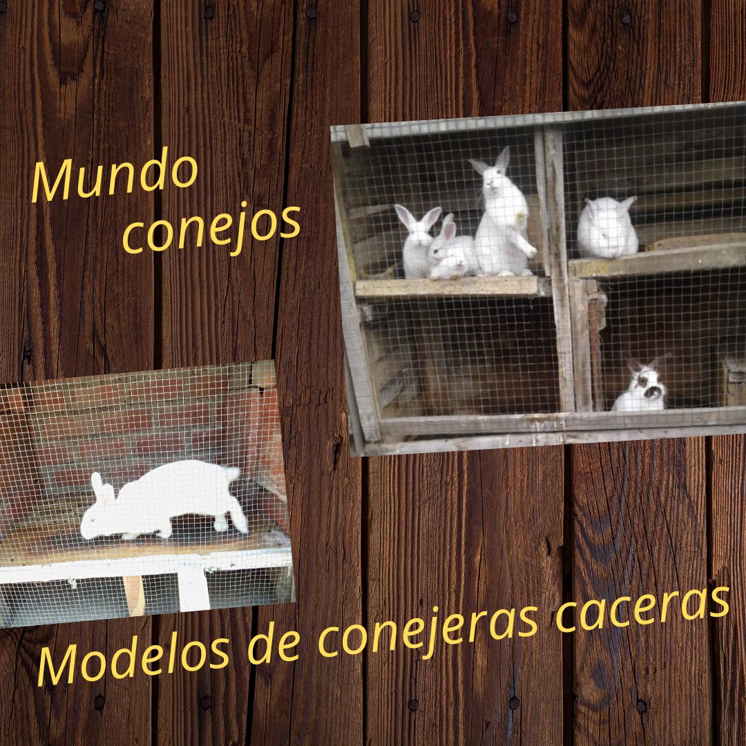 Conejos_iniciartecraft.jpg