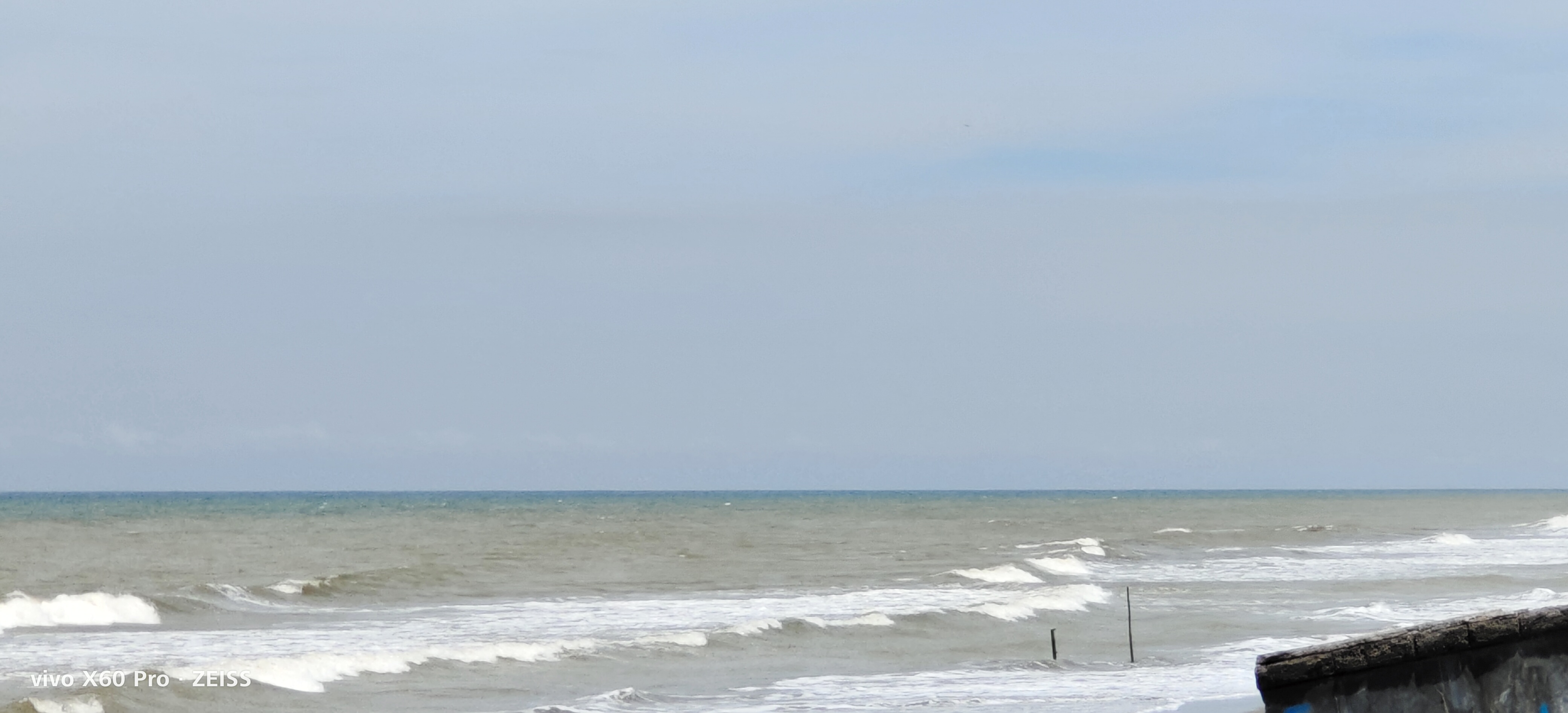 IMG_20221004_125650.jpg