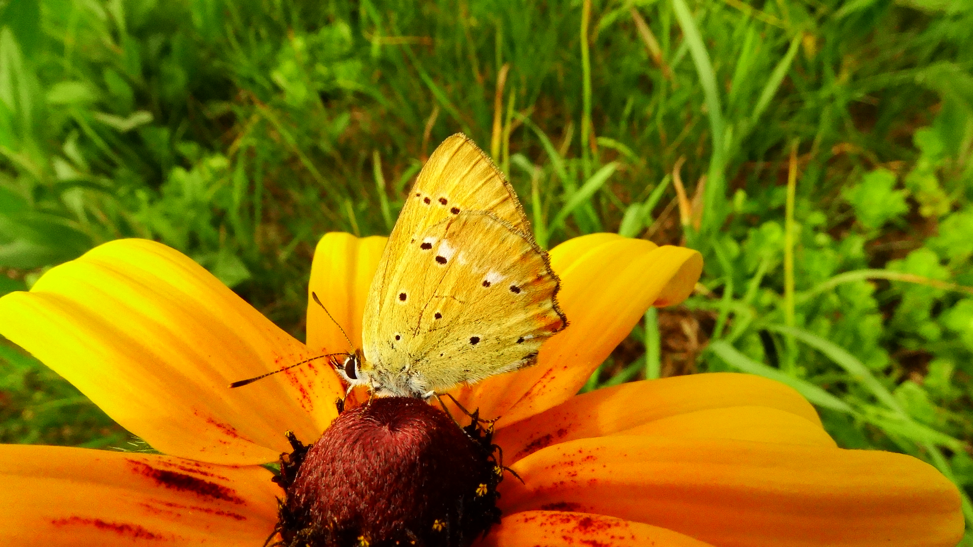 DSC04354.JPG