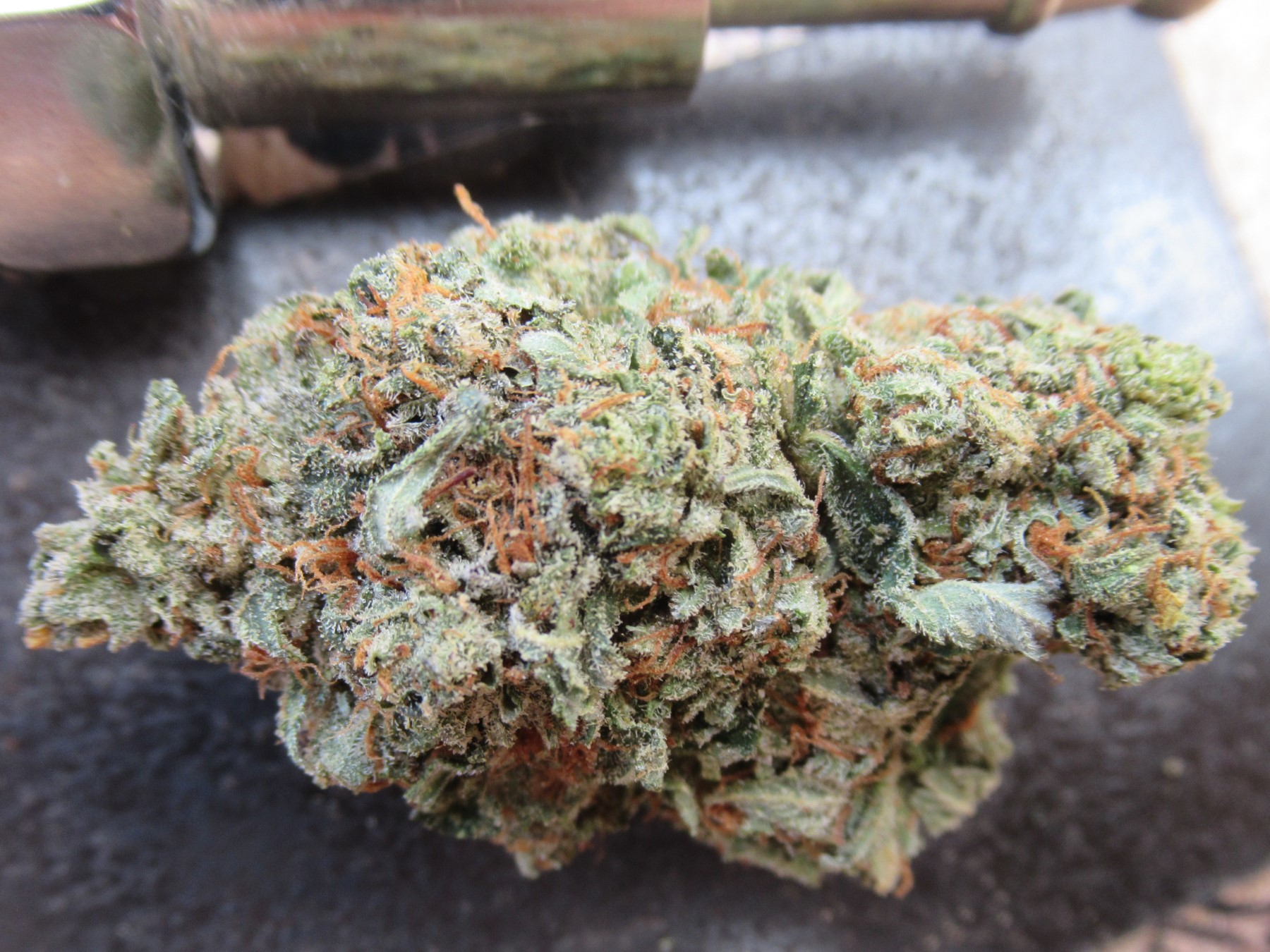 fullnugtopbeauty.jpg
