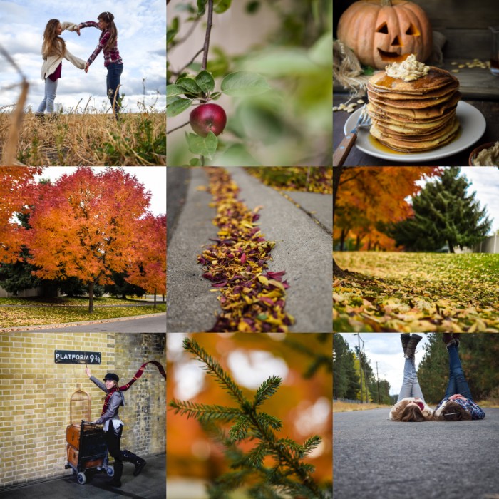 Steemit Fall Collage (1).jpg