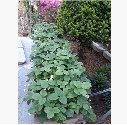 마음만 전달했던 어제하루