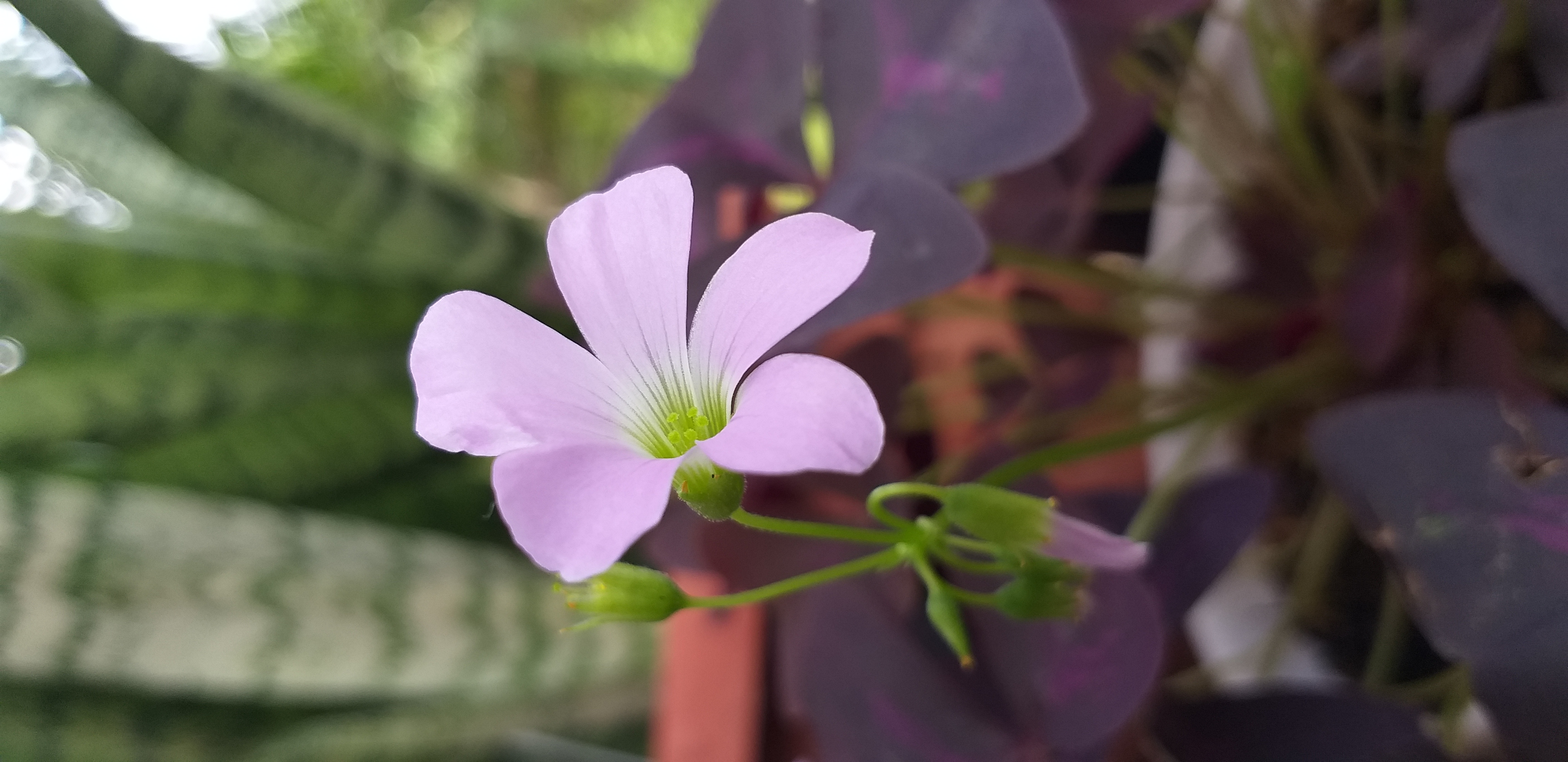 20201112_132741.jpg