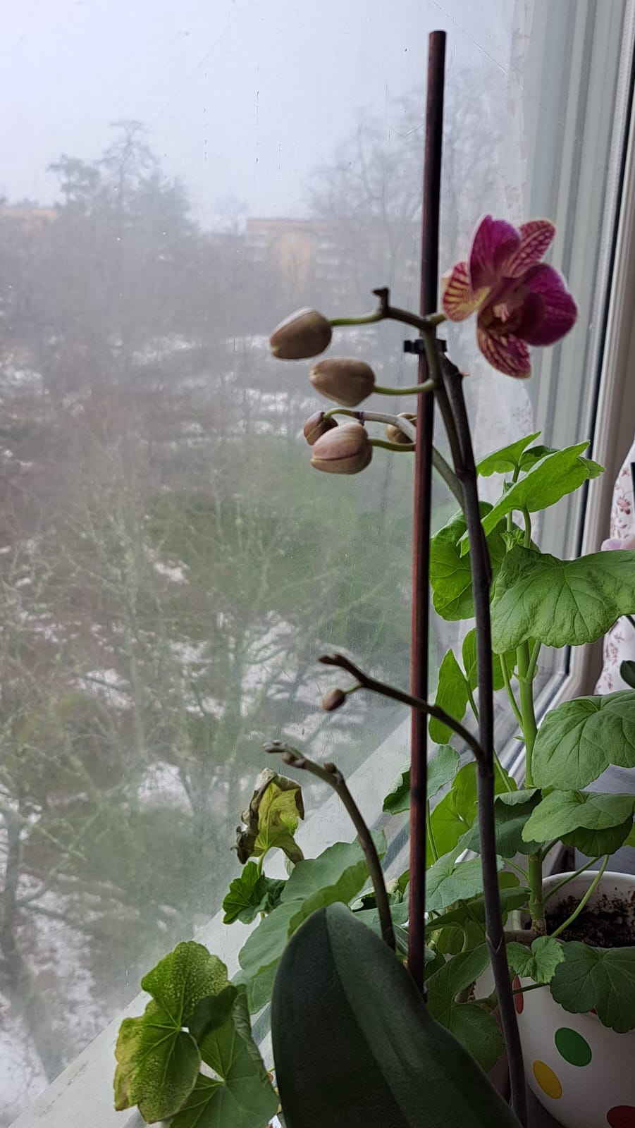 2024-01-25 at 4.24.46 PM (5).jpeg