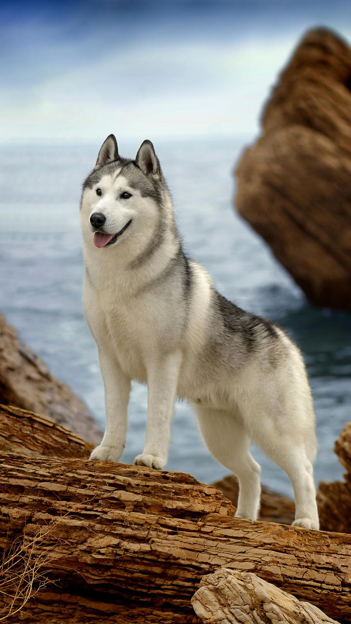 PictureUnlock_FryZlWOkHUa0_63_ui44WOT7_Xpu.pictureunlock.jpg