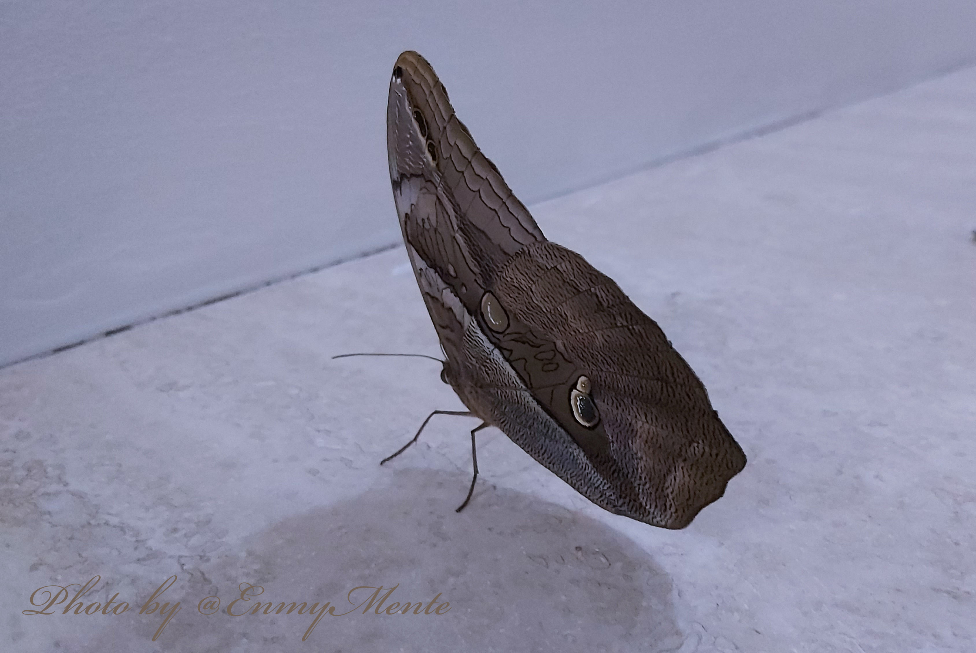 PSX_20191128_213716.jpg