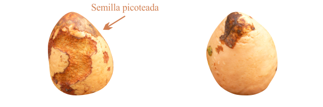 0C.png