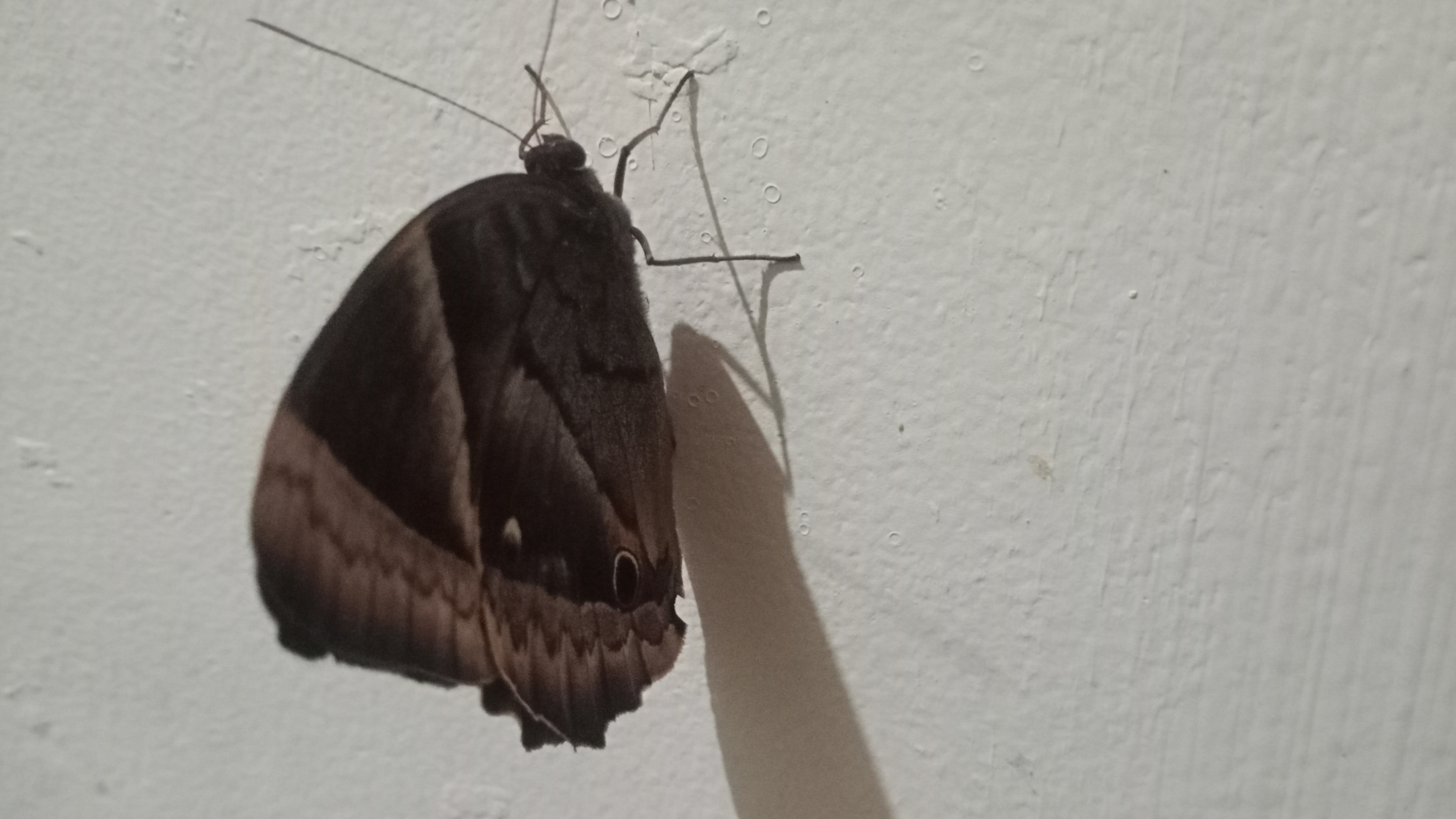 IMG20250531182014.jpg