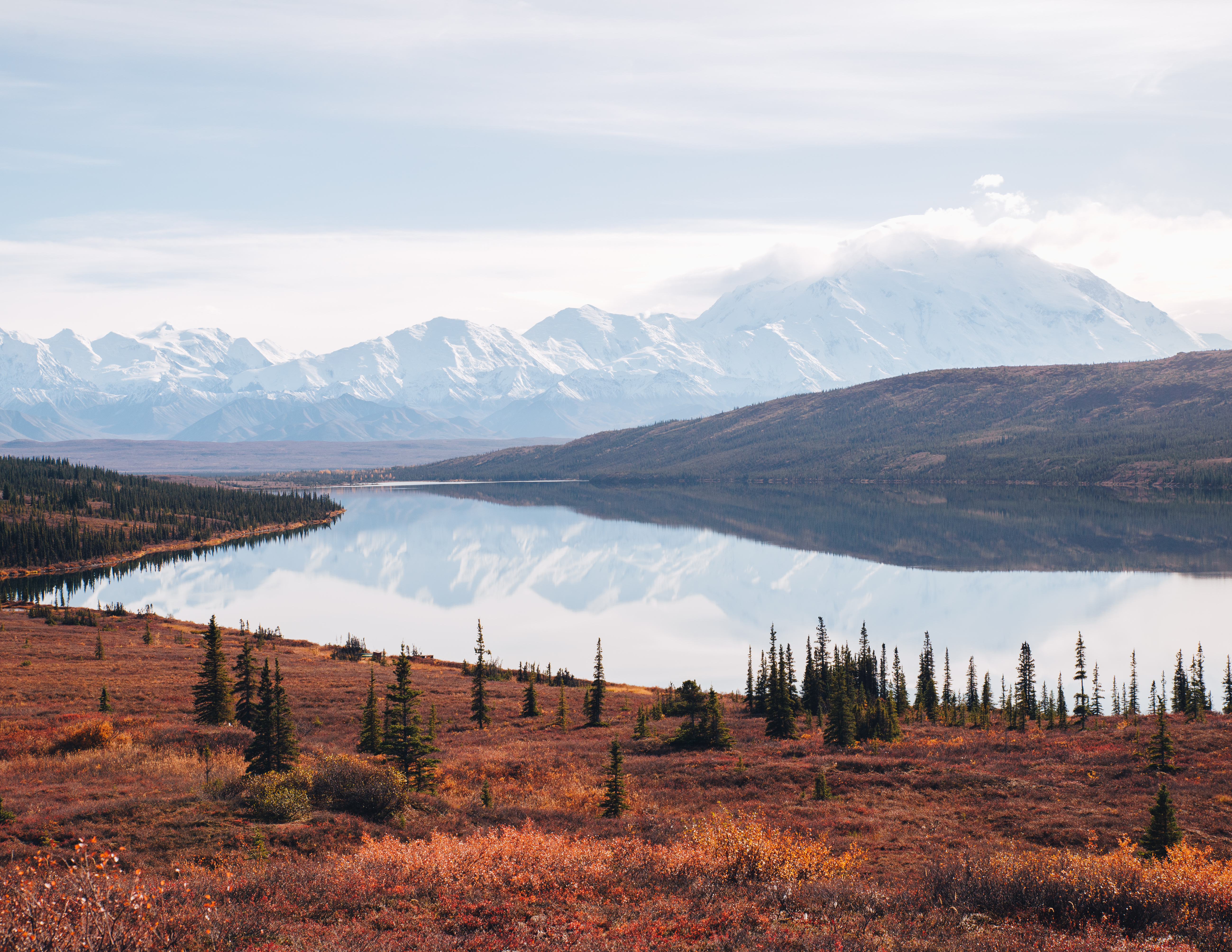 Denali 6.jpg