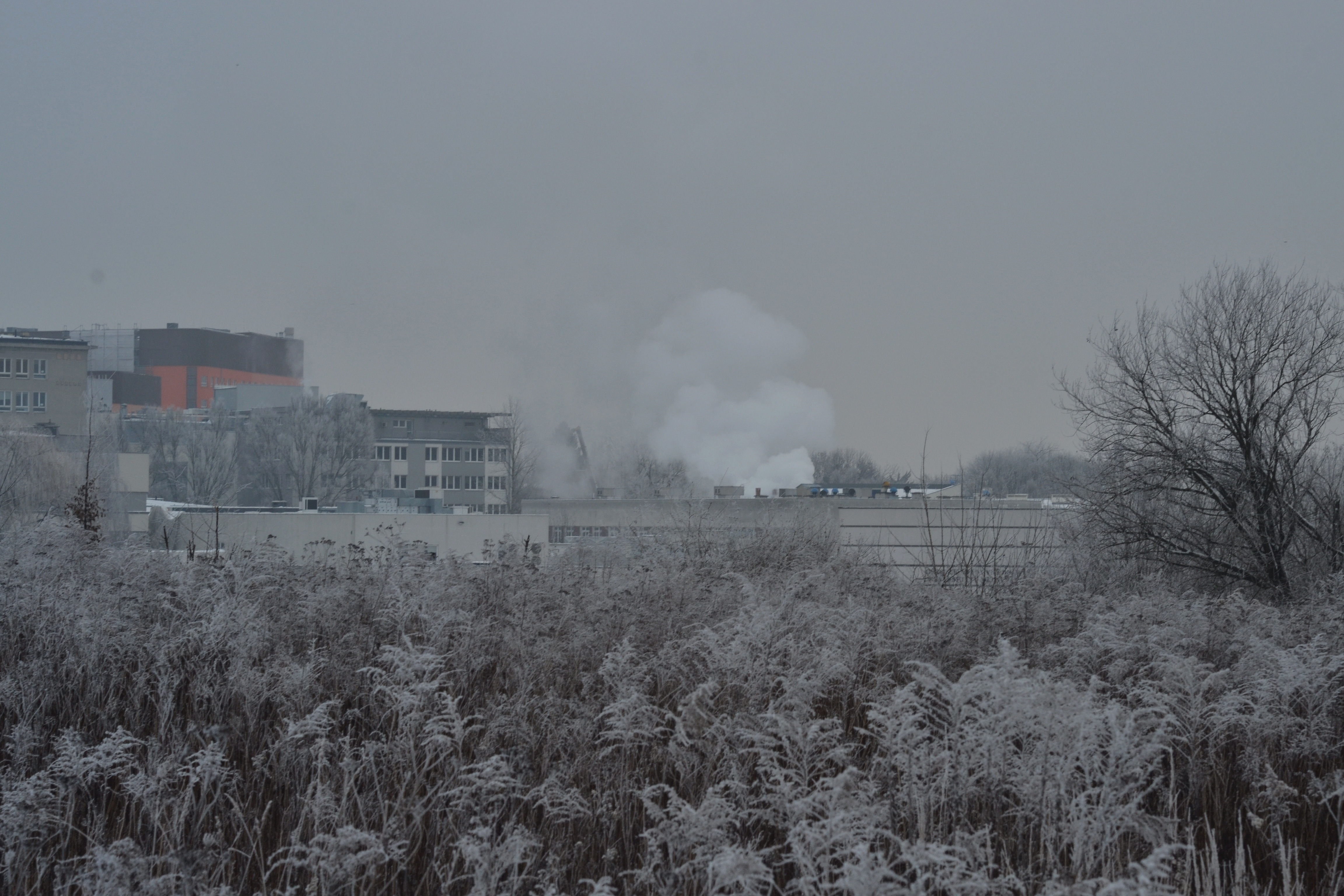 DSC_5479.jpg