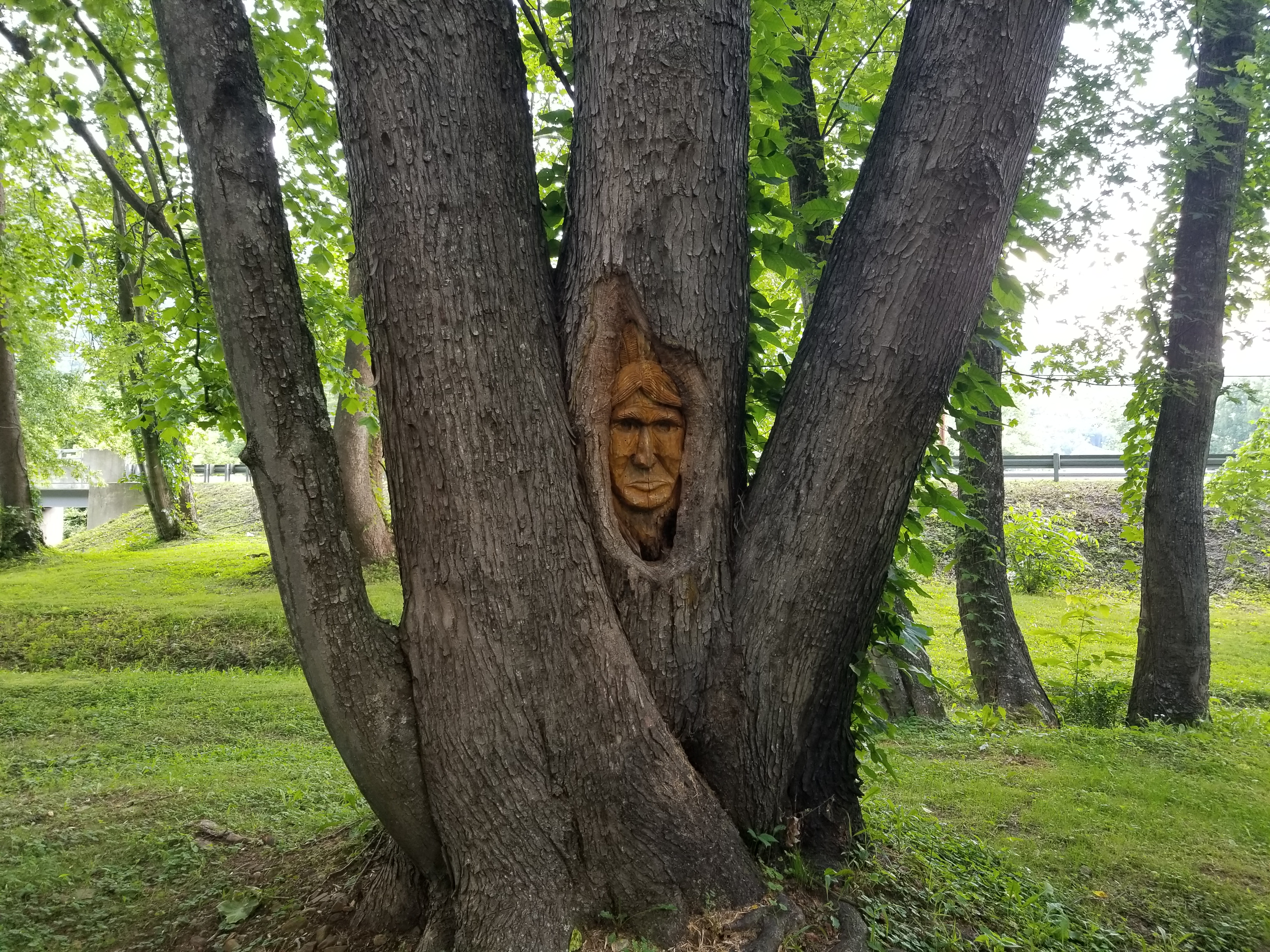 20180609_180051.jpg