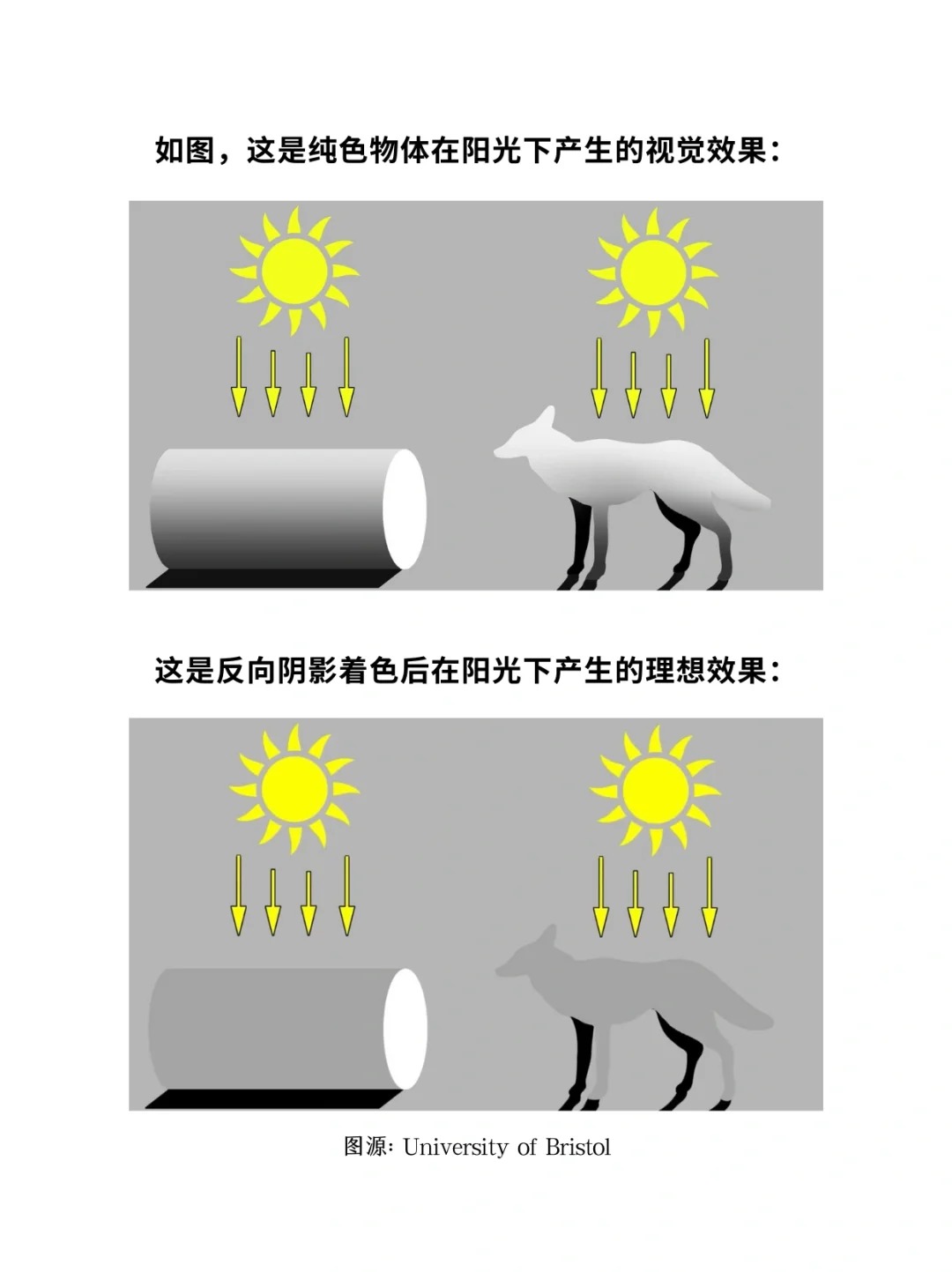 科普一分钟_ 动物长这样究竟是谁“规定”的❓_5.jpg
