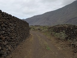 G0041417 (1) (1).JPG