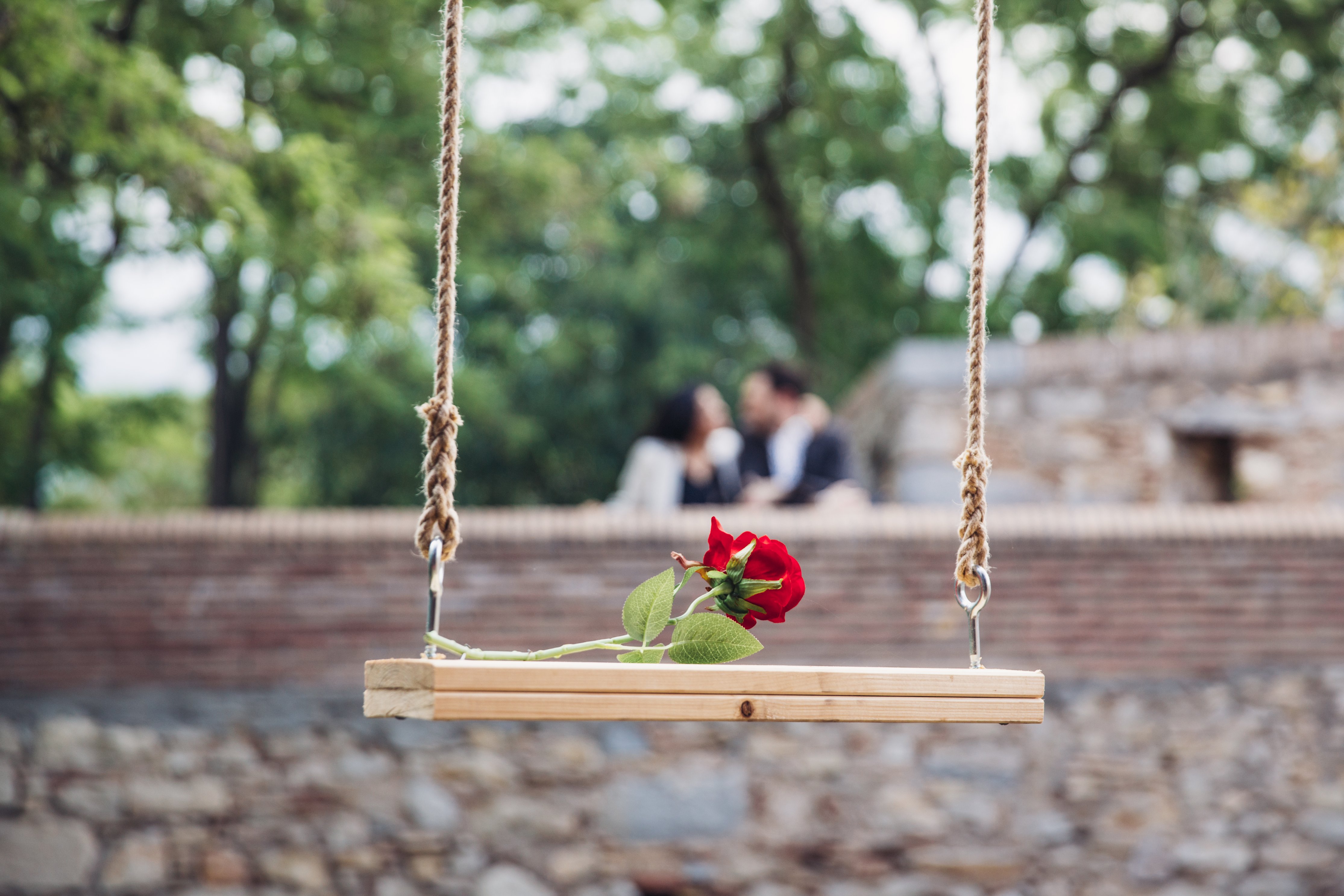 rose-romance.jpg