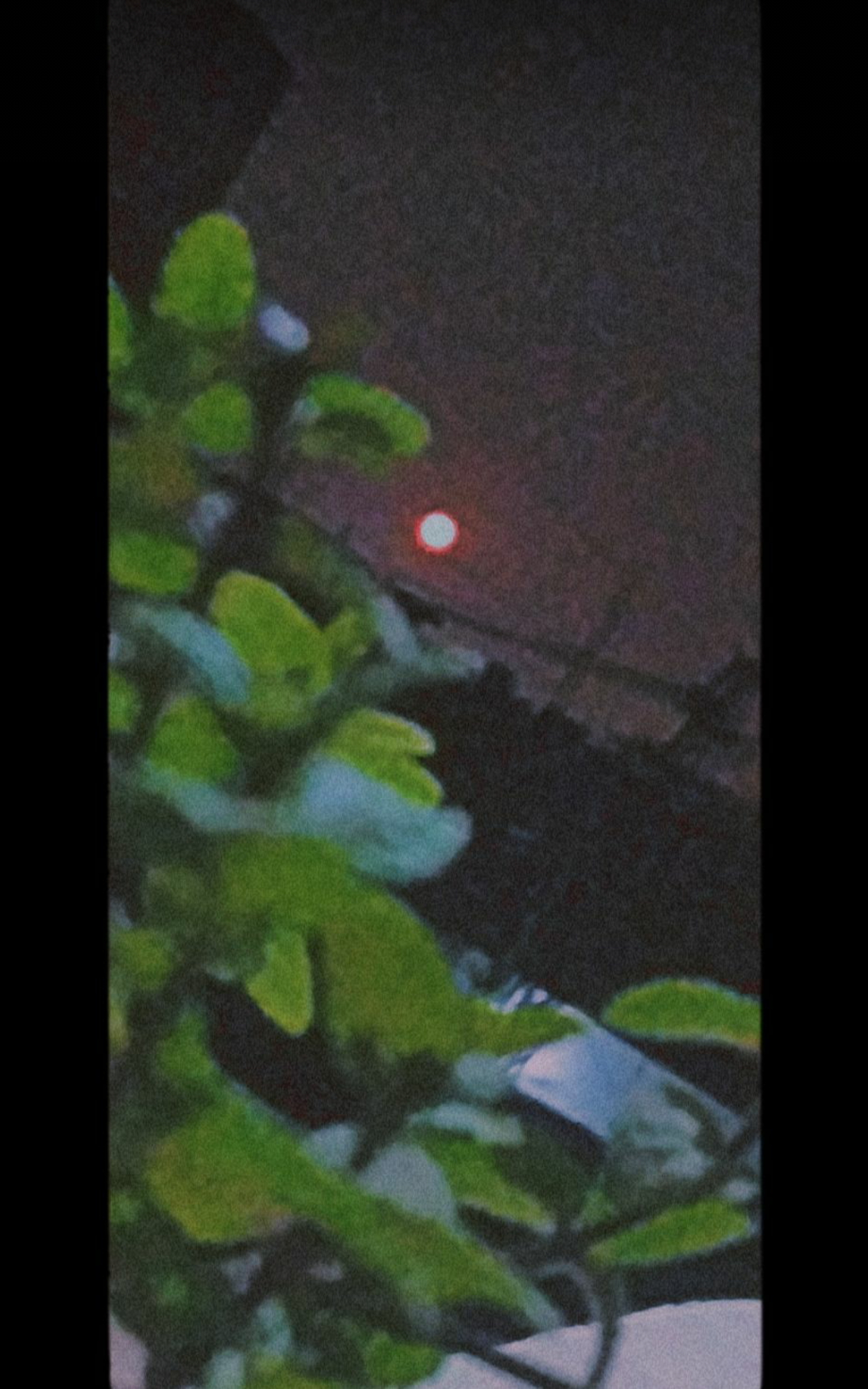 Screenshot_20211121-001257.png