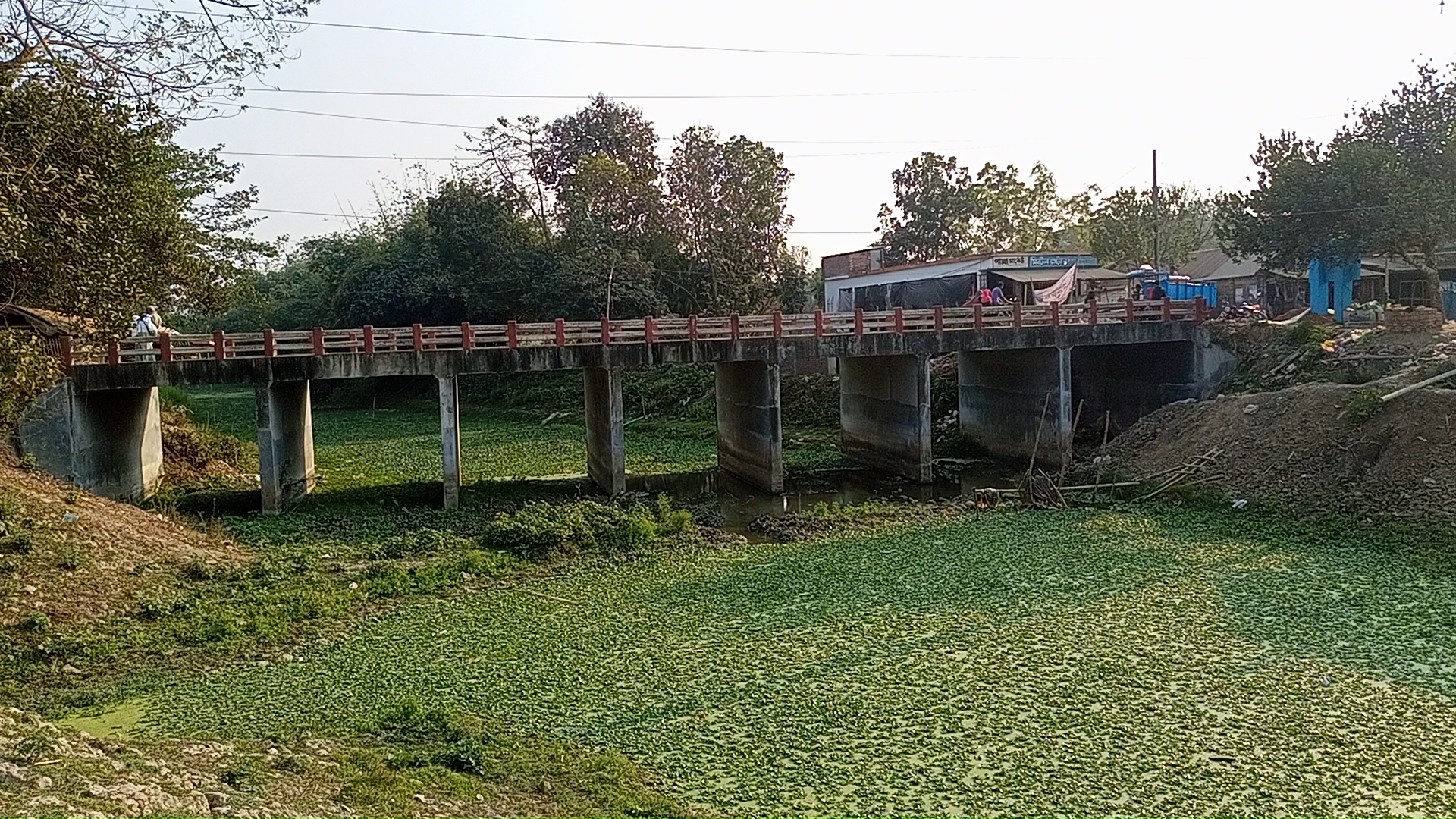 IMG20260208155804.jpg