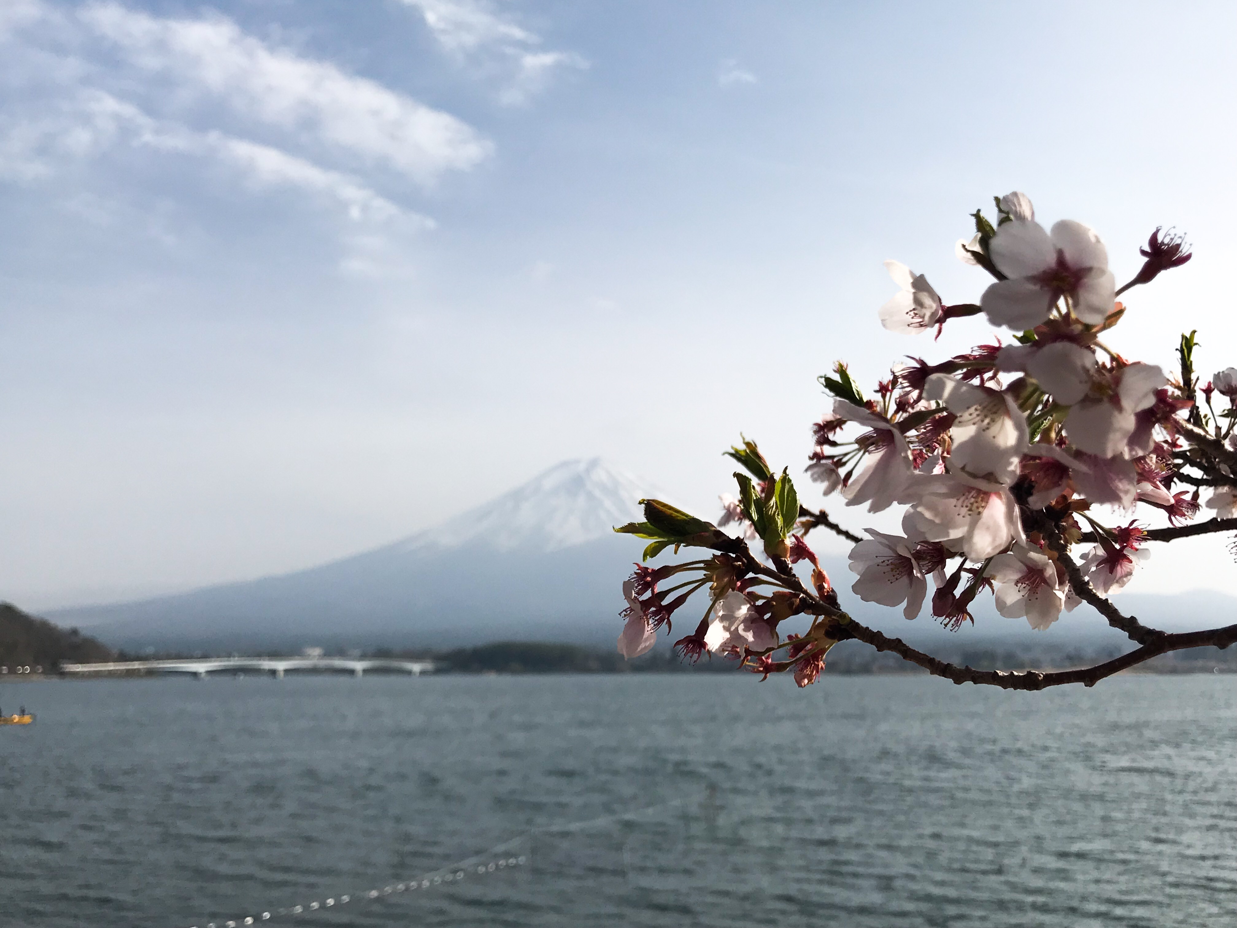 1154711F-D0D8-44E5-B3B2-42C24074E372.jpeg