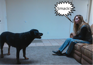 dog.jpg